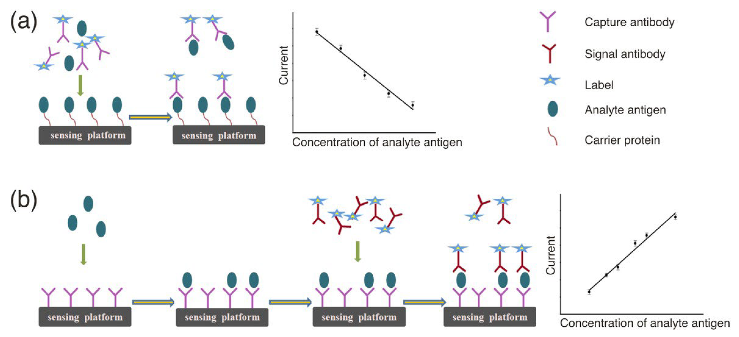 Molecules 30 02708 g001