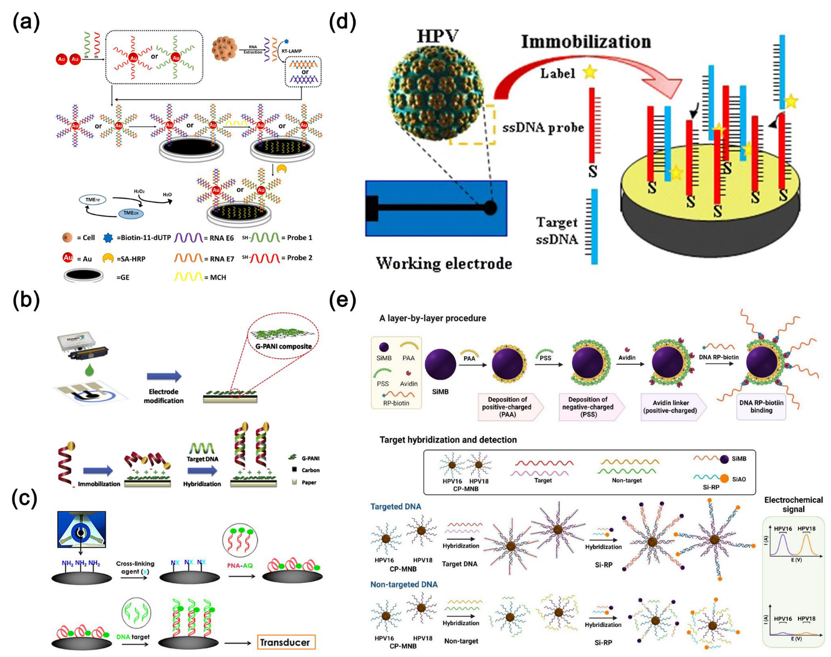 Molecules 30 02708 g008