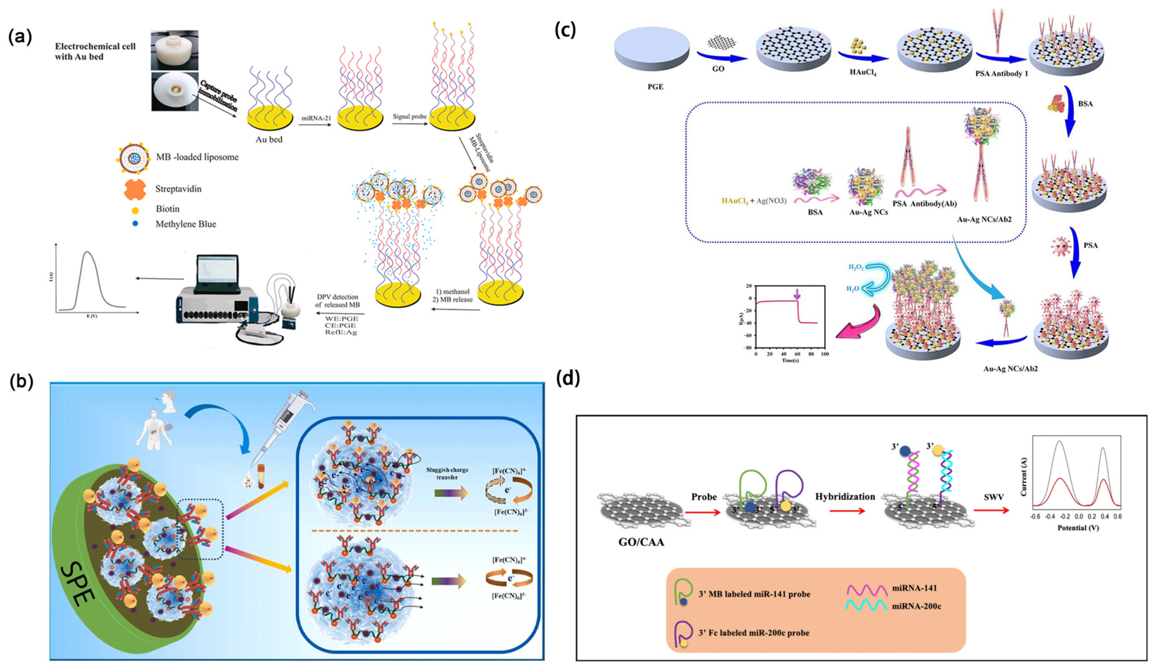Molecules 30 02708 g011