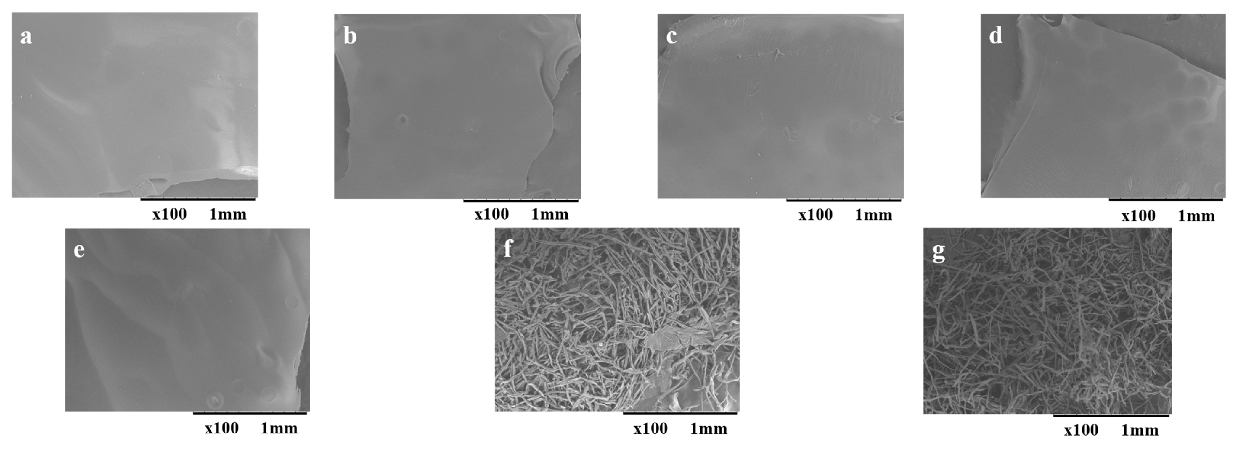 Molecules 30 02711 g002