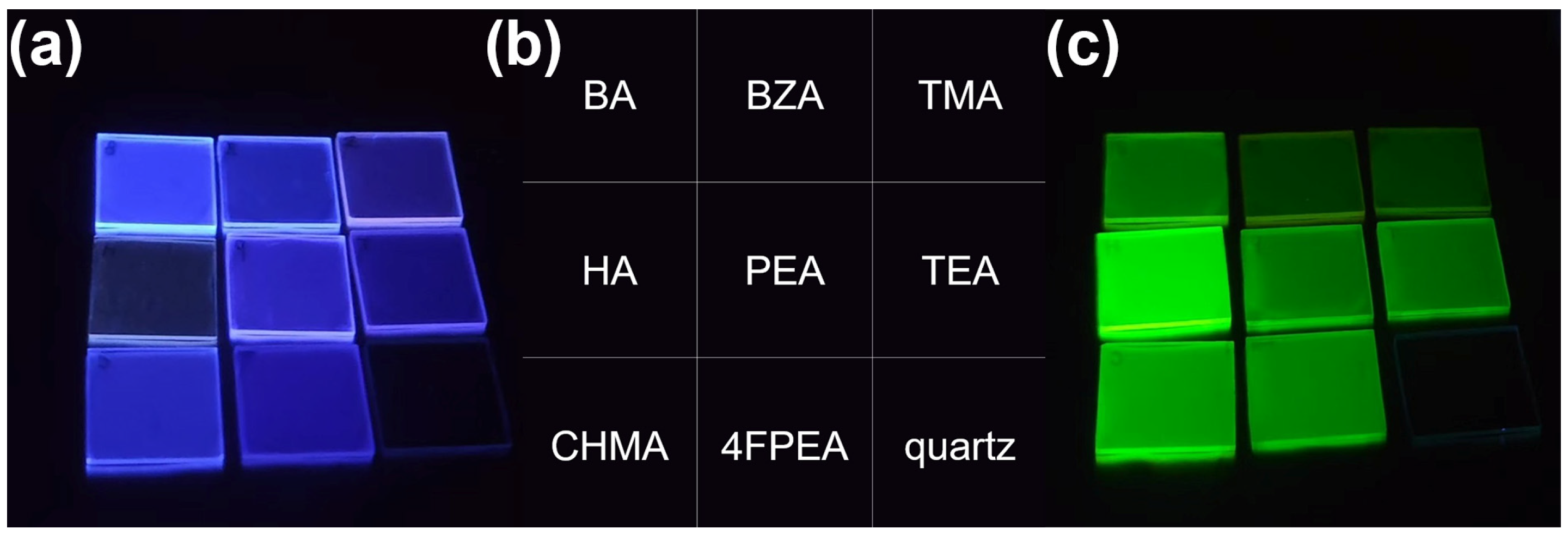 Molecules 30 02716 g001