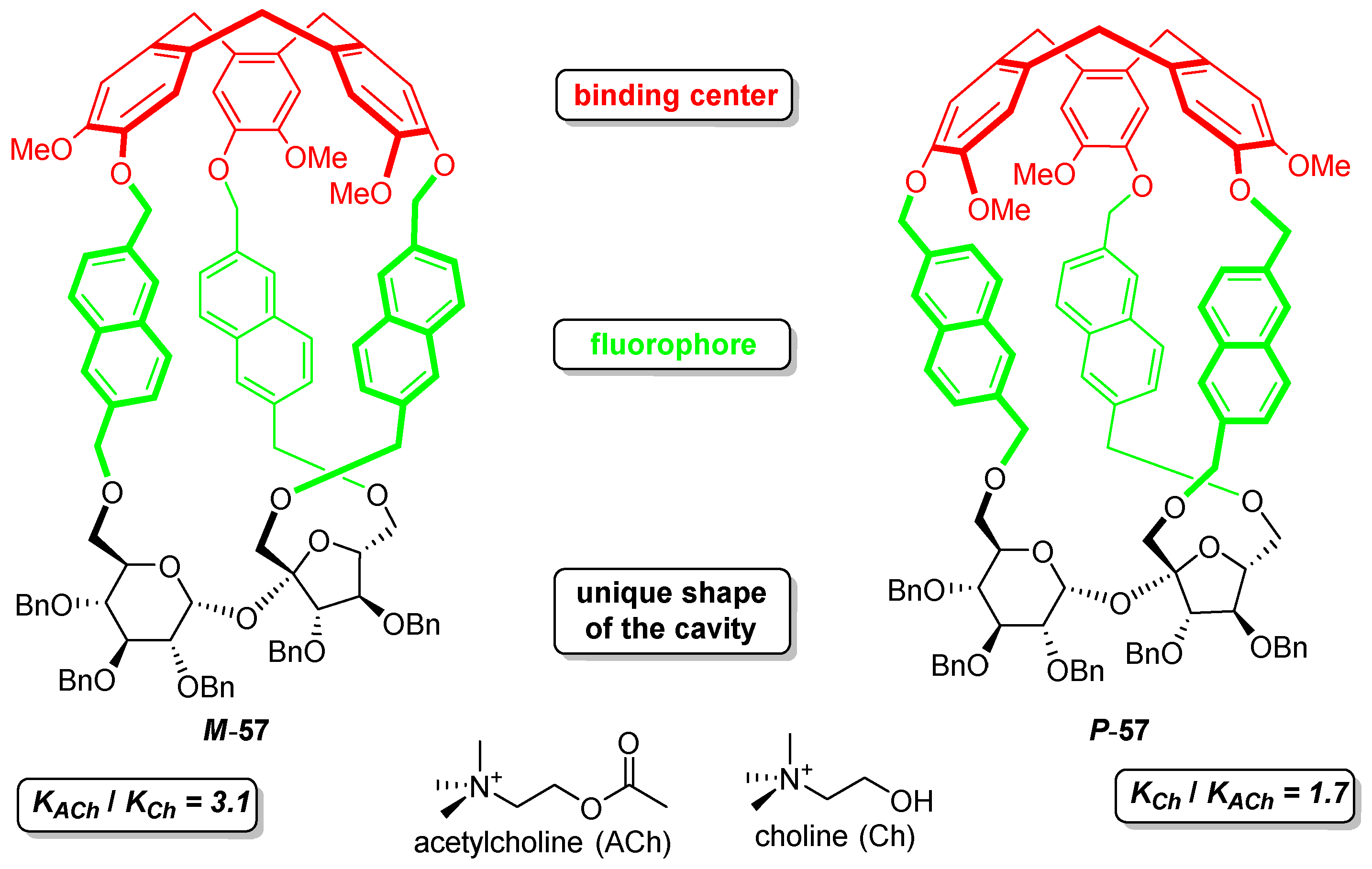 Molecules 30 02721 g004