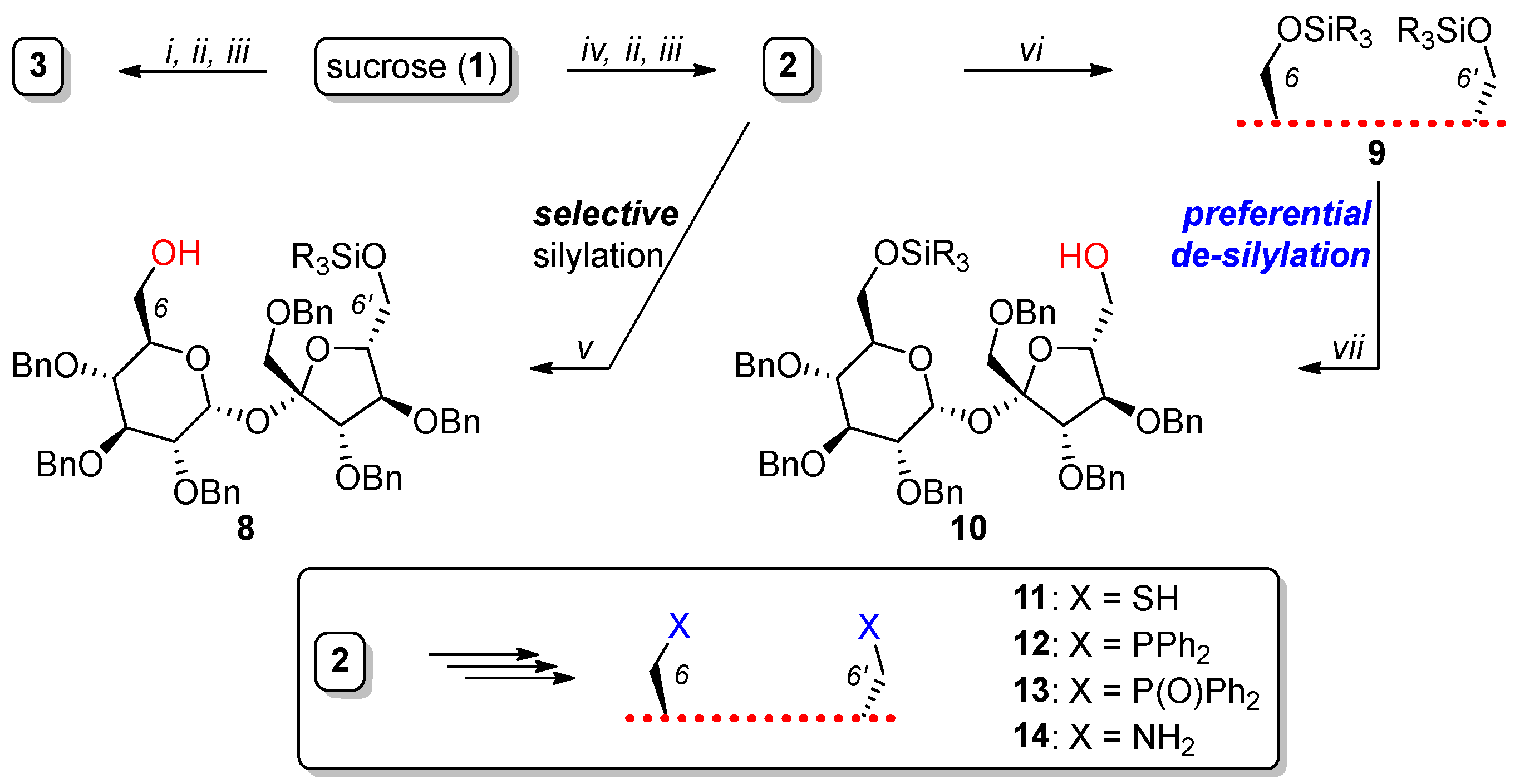 Molecules 30 02721 sch001