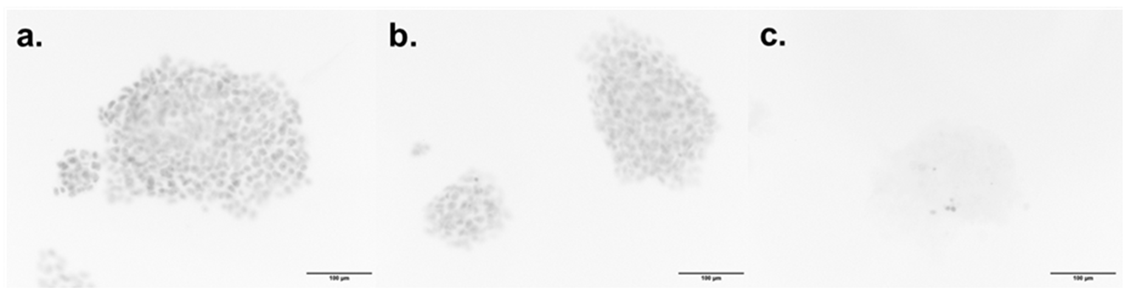 Molecules 30 02728 g008