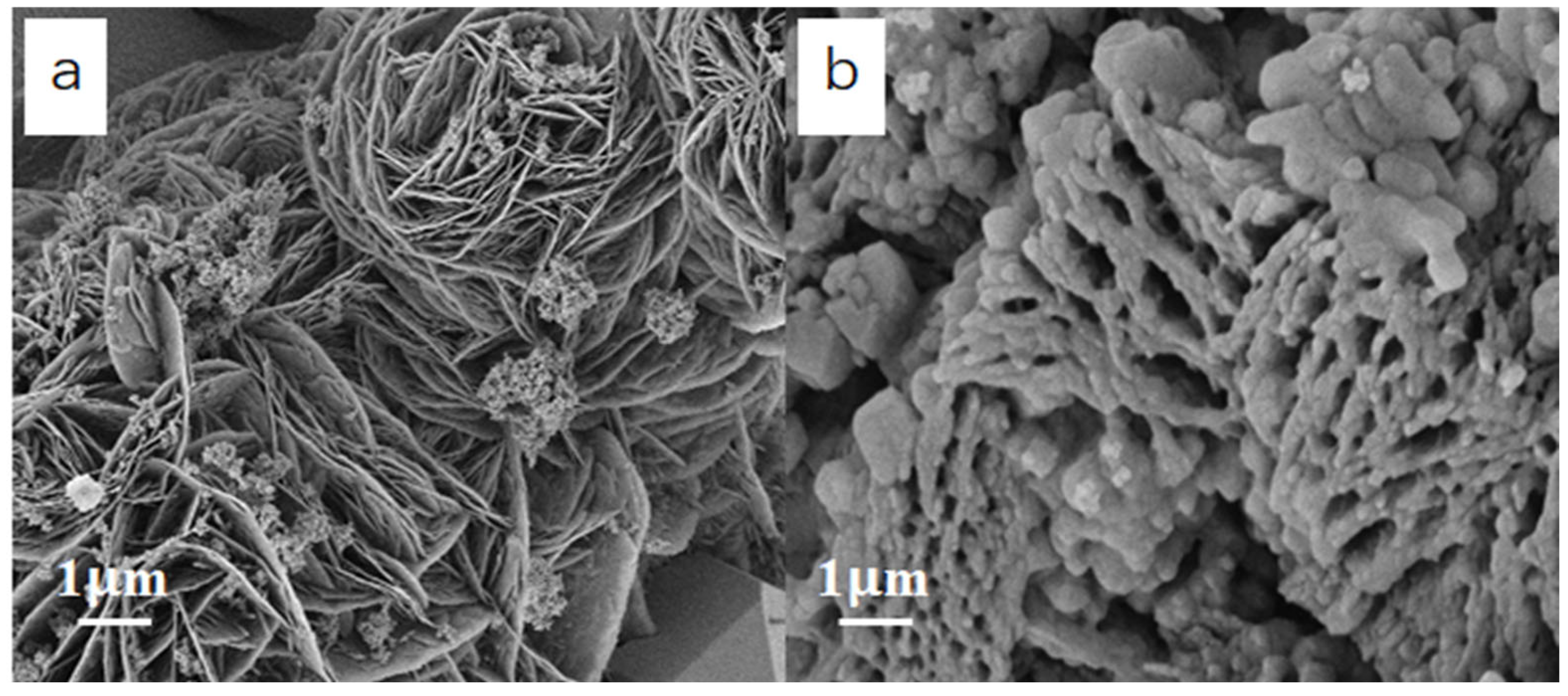 Molecules 30 02729 g004