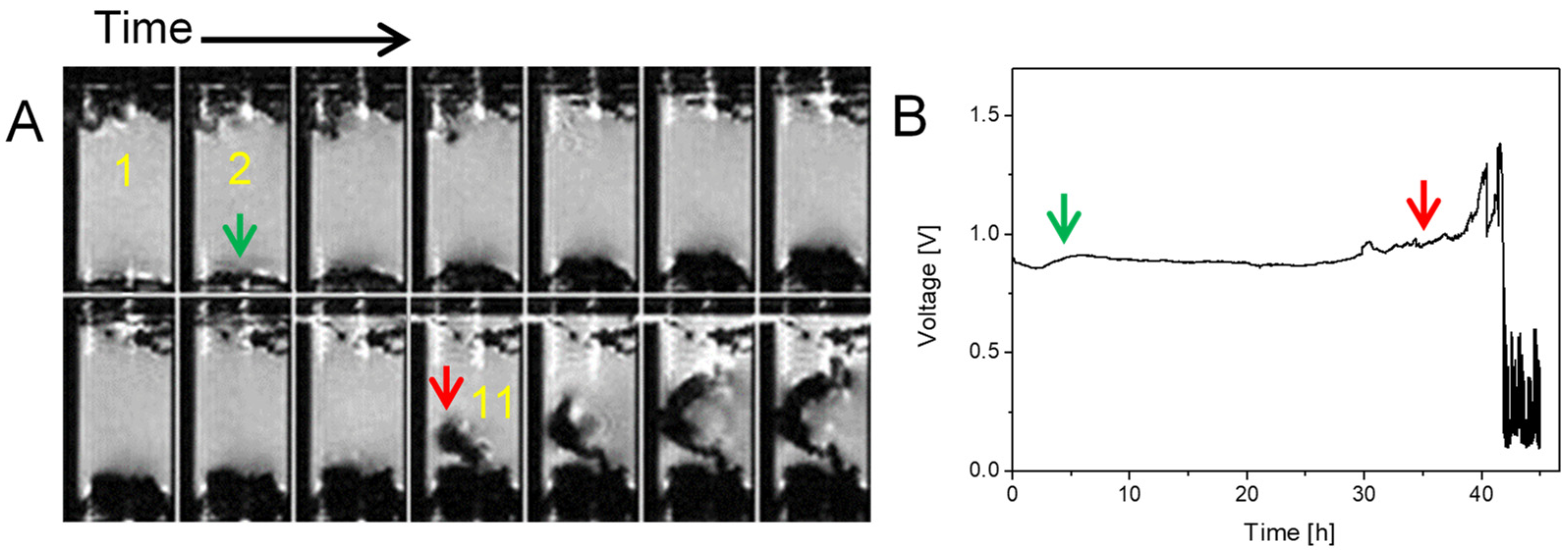 Molecules 30 02733 g002