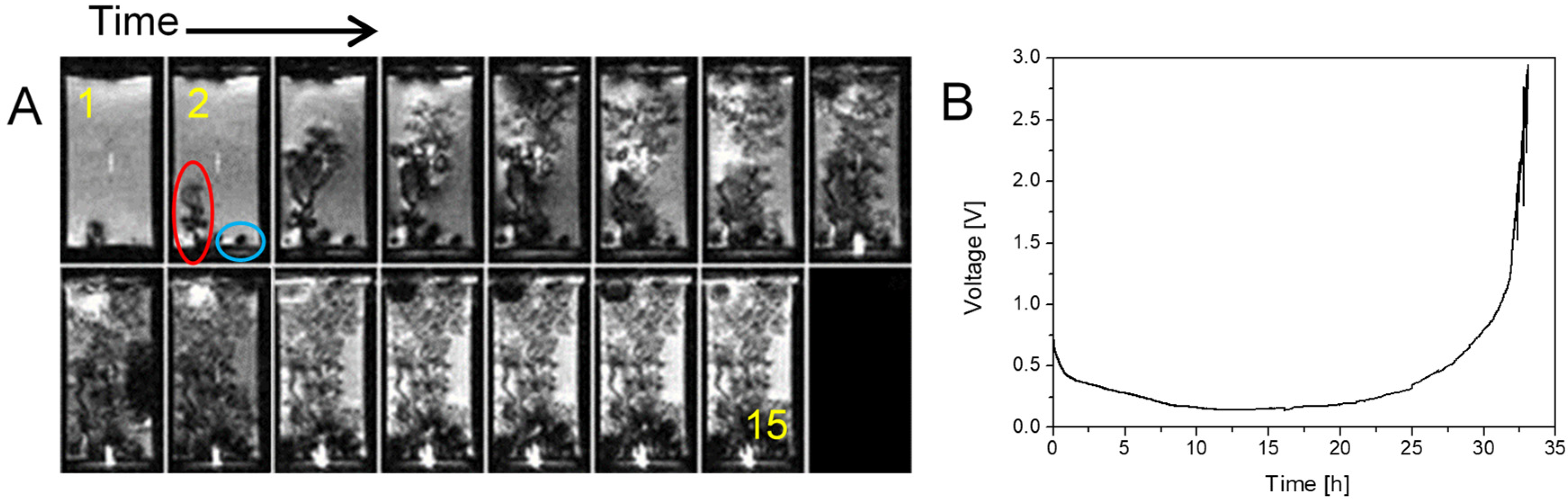 Molecules 30 02733 g003