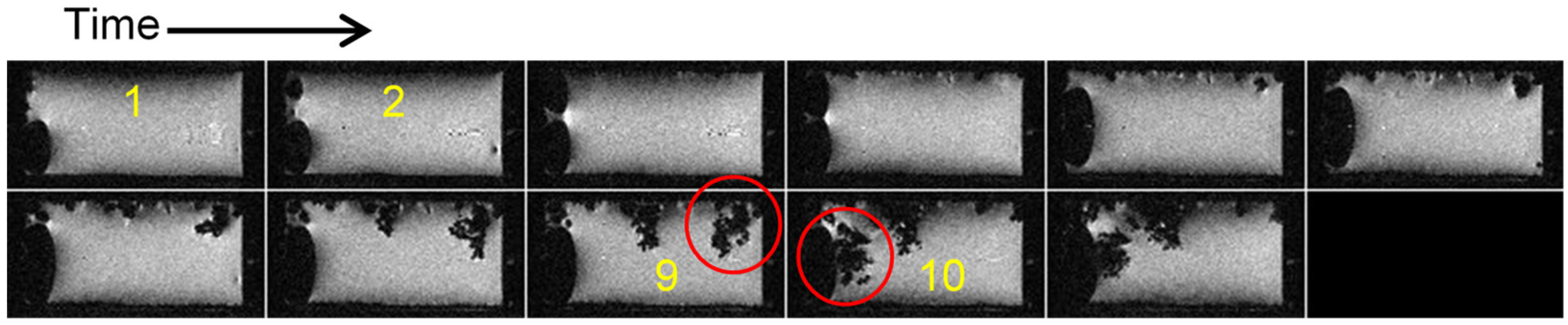 Molecules 30 02733 g006