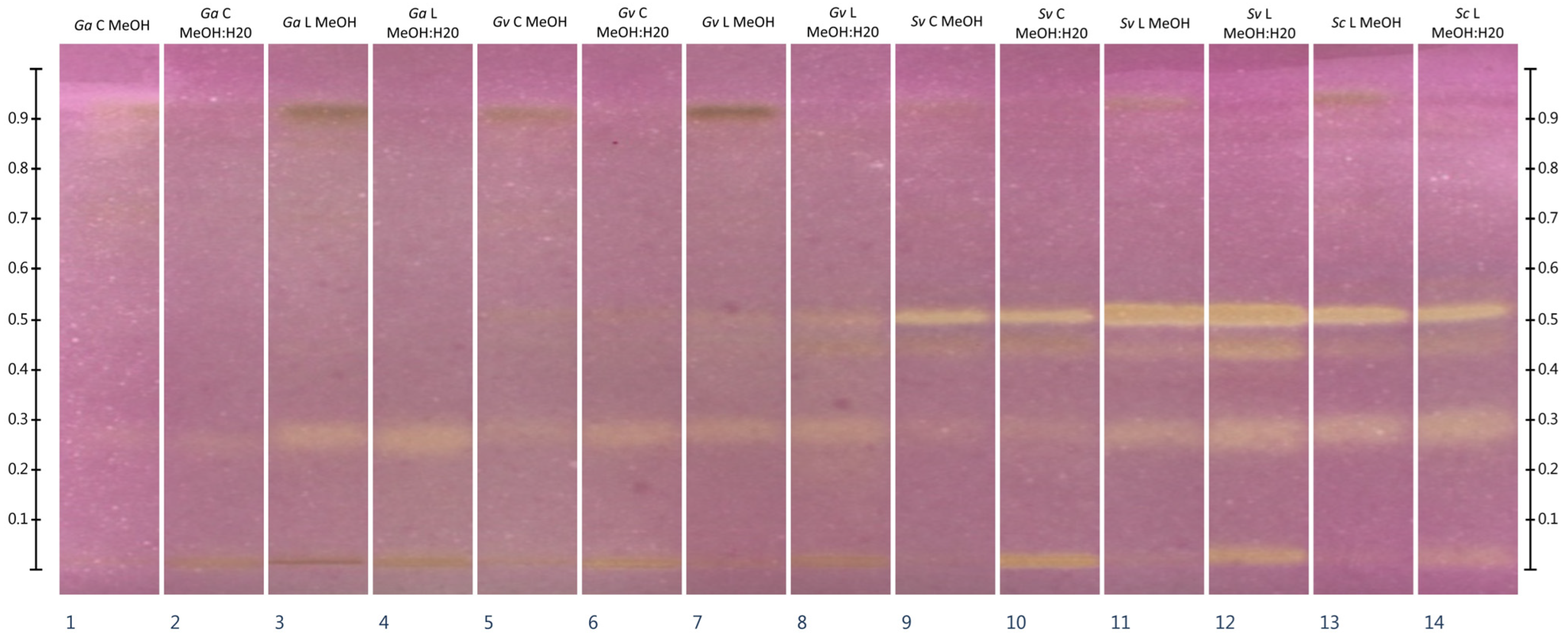 Molecules 30 02746 g003 Molecules 30 02746 g003