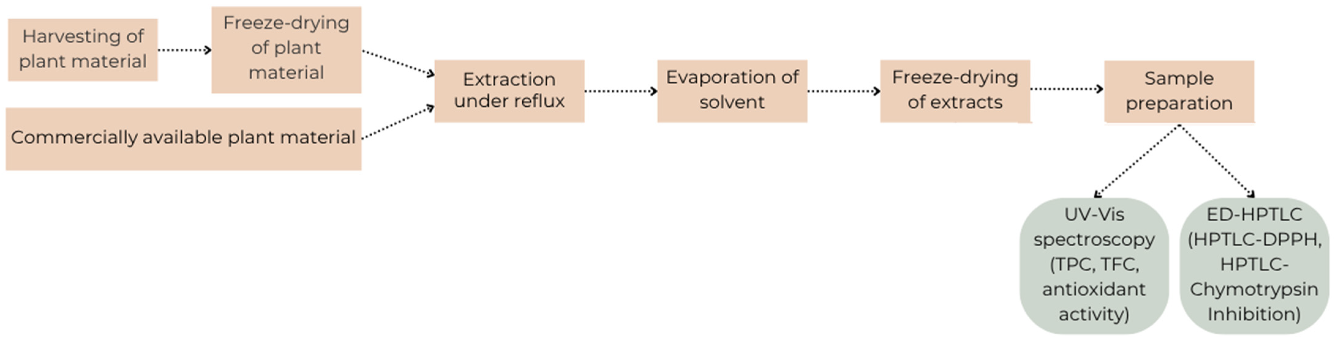 Molecules 30 02746 g005 Molecules 30 02746 g005
