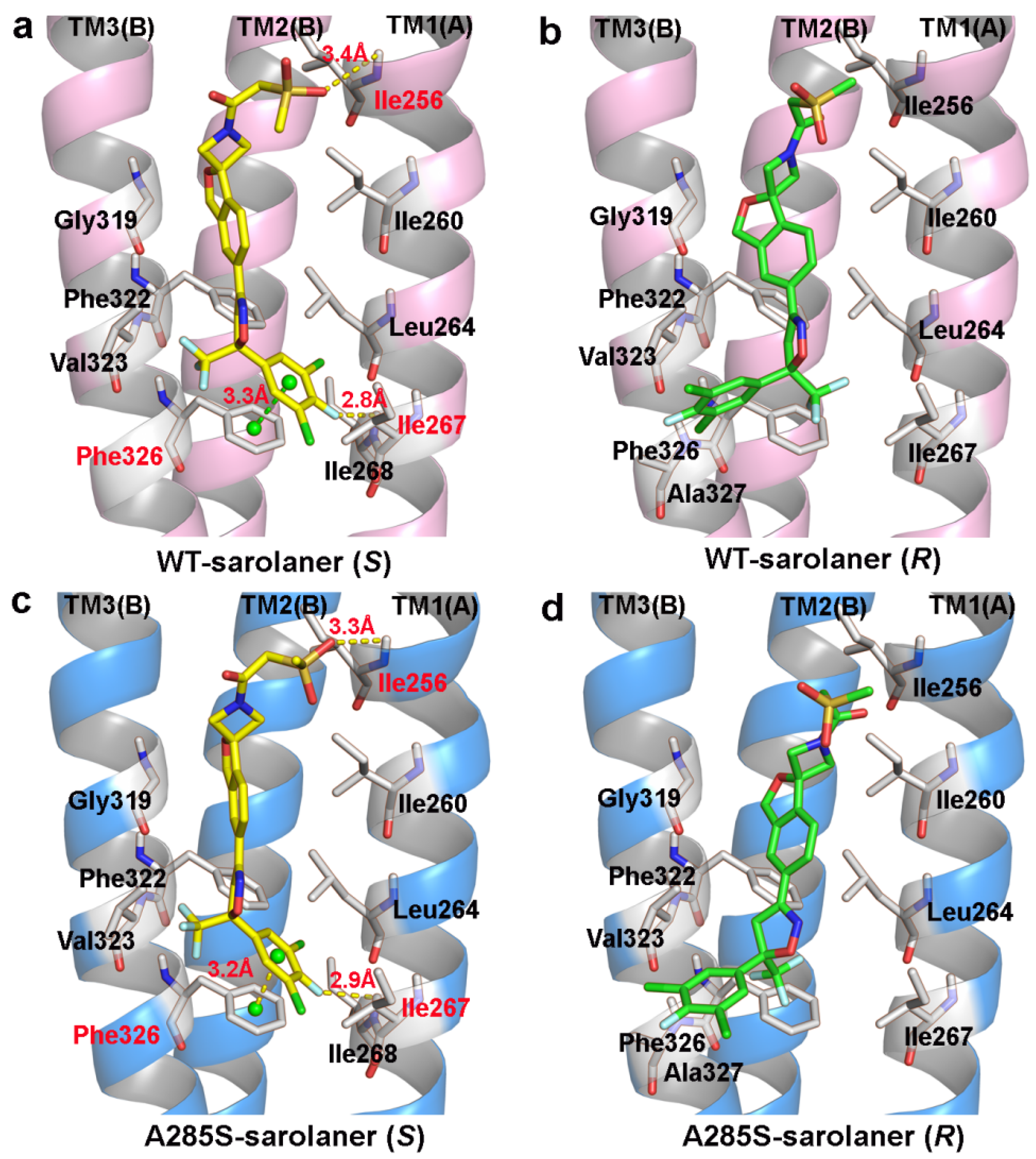 Molecules 30 02756 g005