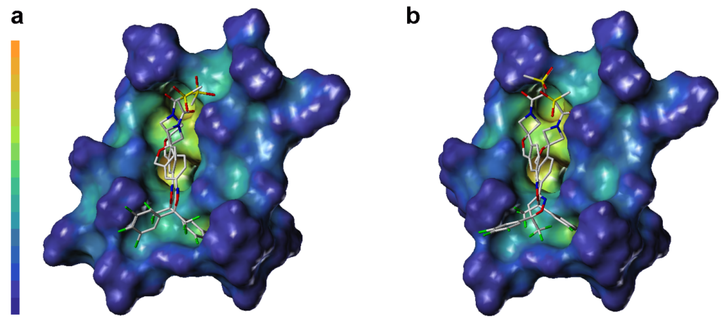 Molecules 30 02756 g007