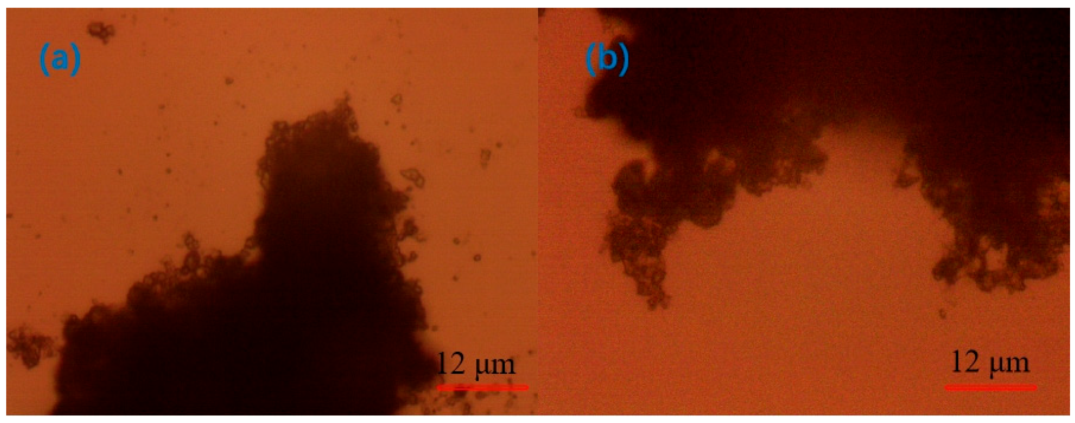 Molecules 30 02761 g017