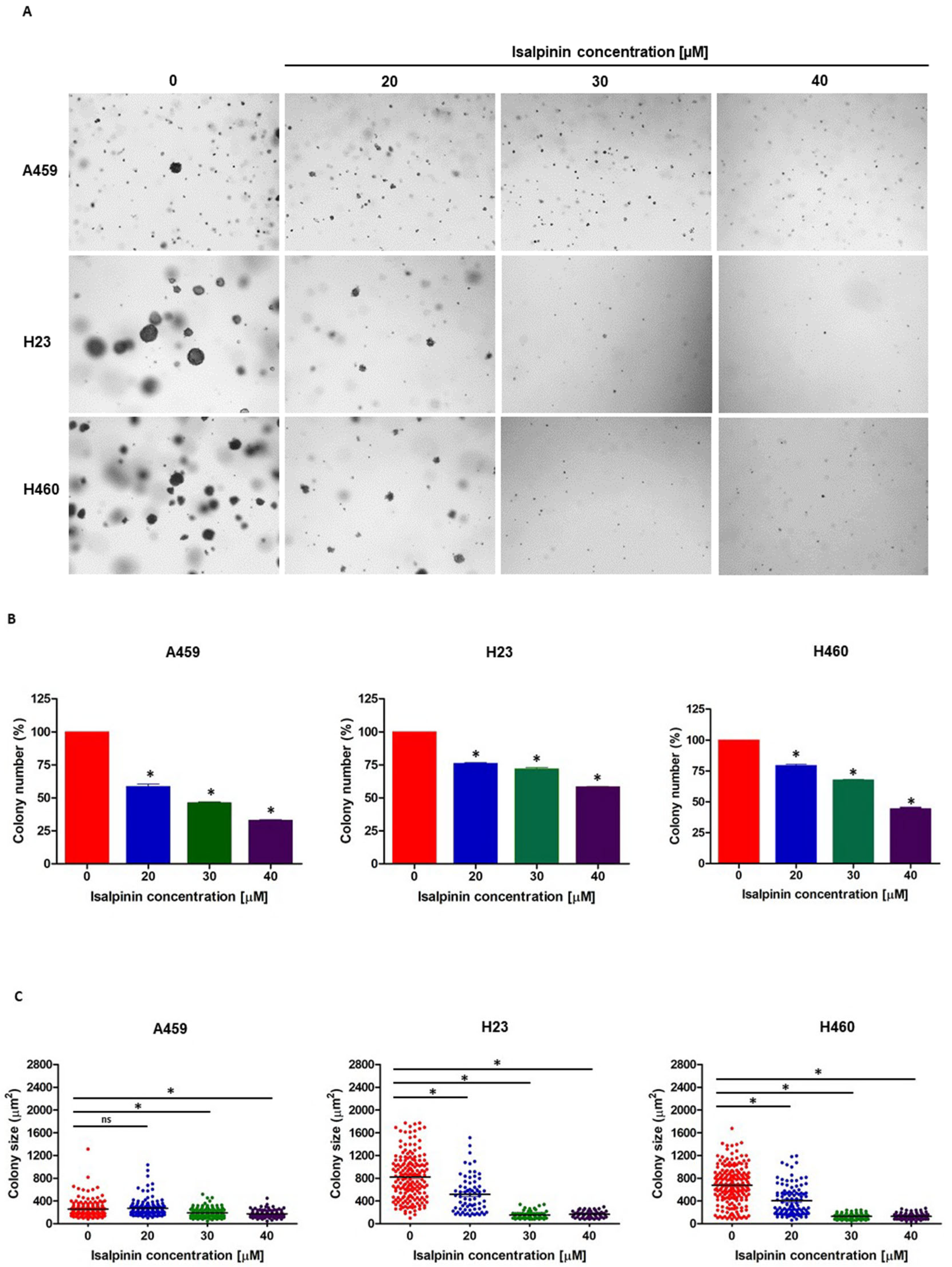 Molecules 30 02762 g005