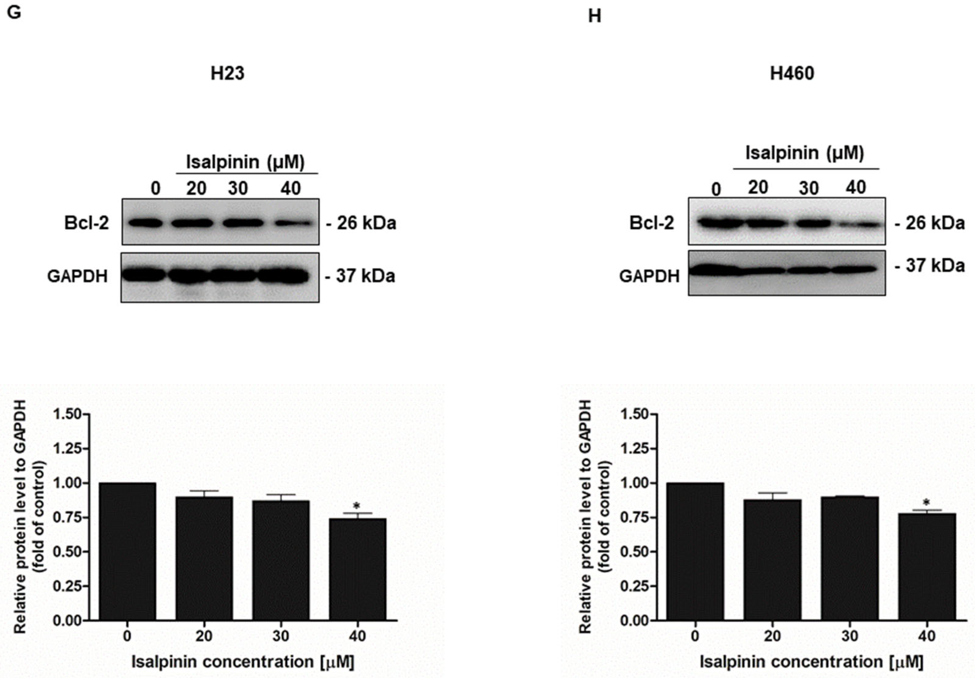 Molecules 30 02762 g007b