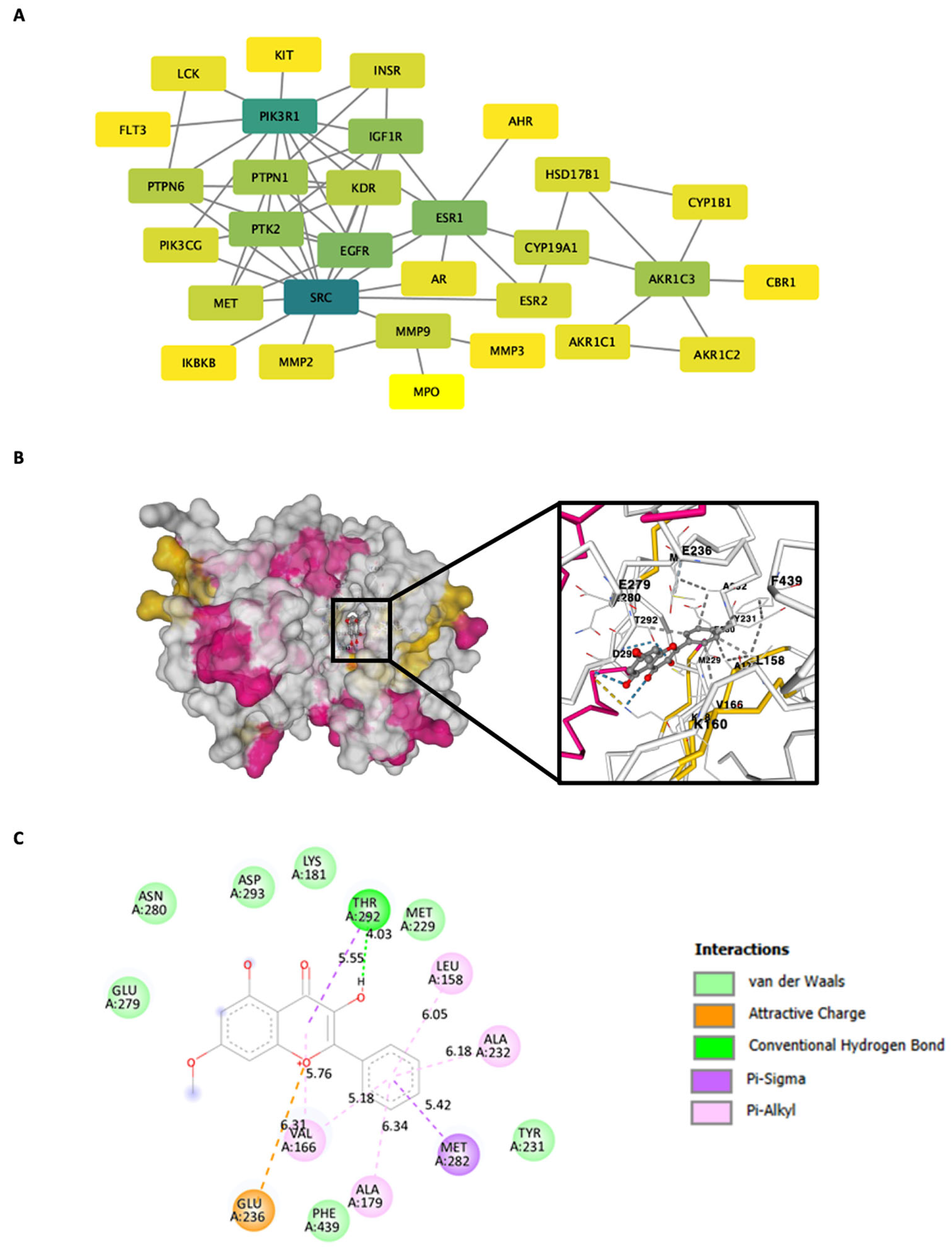 Molecules 30 02762 g009