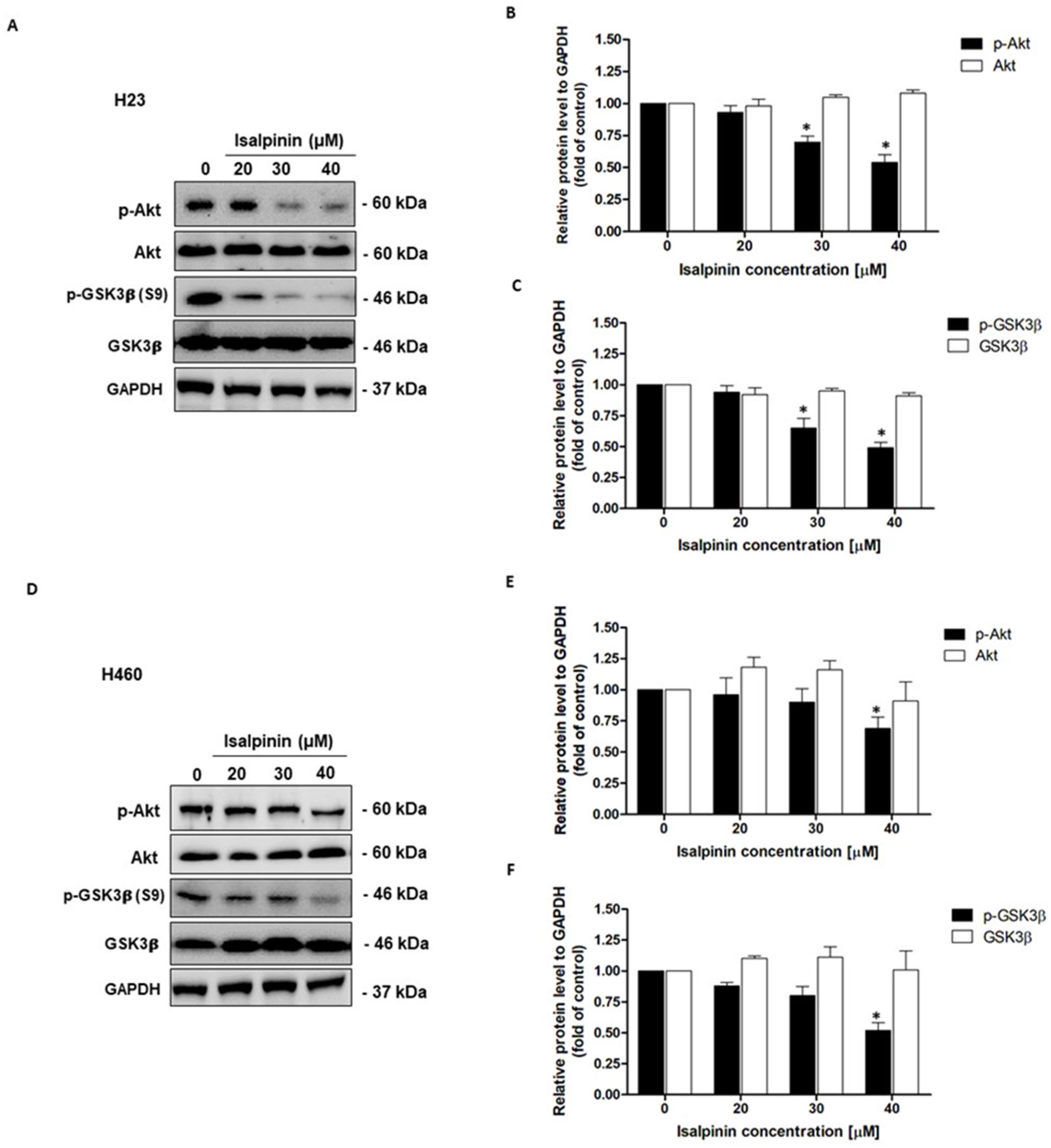 Molecules 30 02762 g010