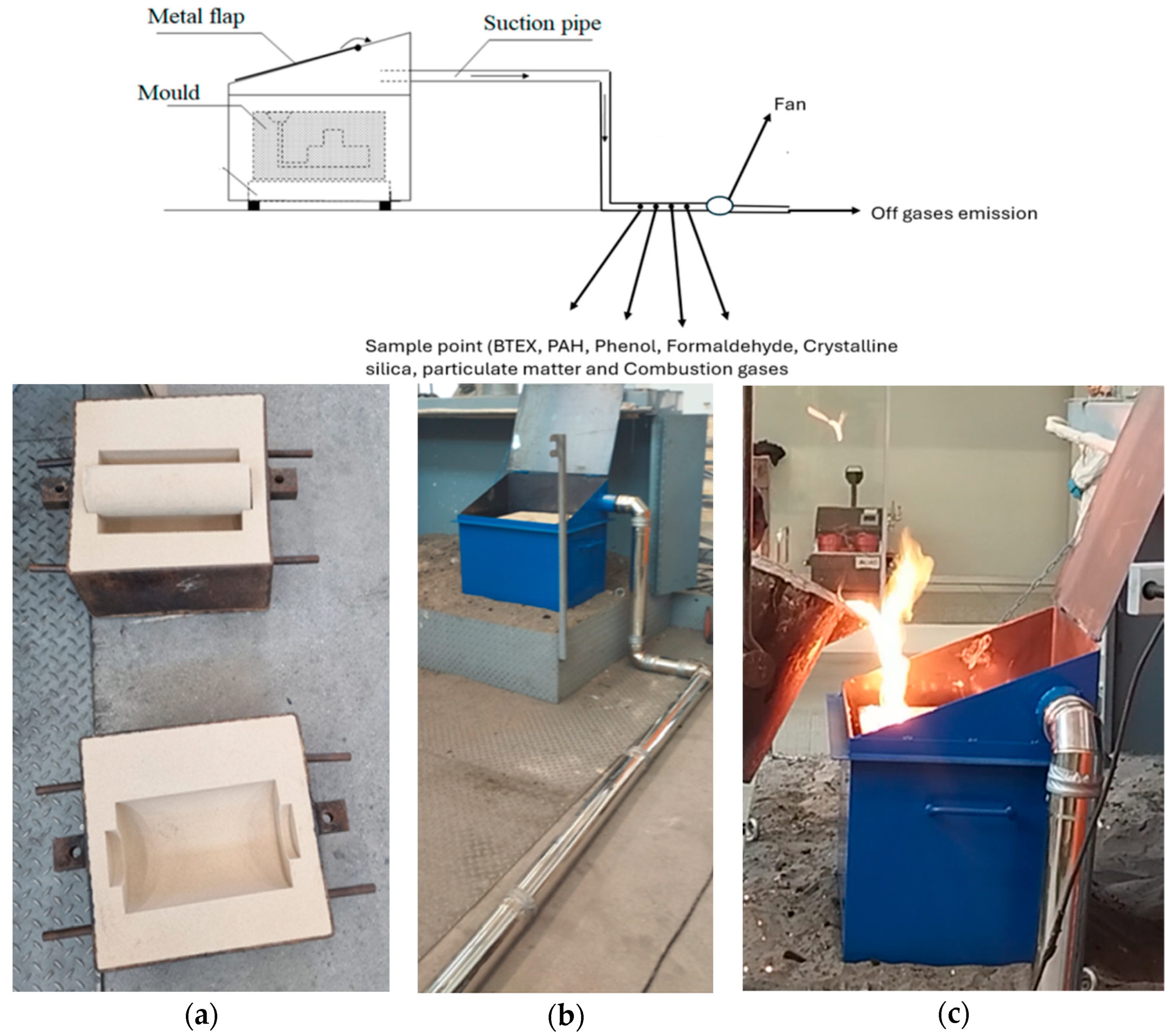 Molecules 30 02765 g007
