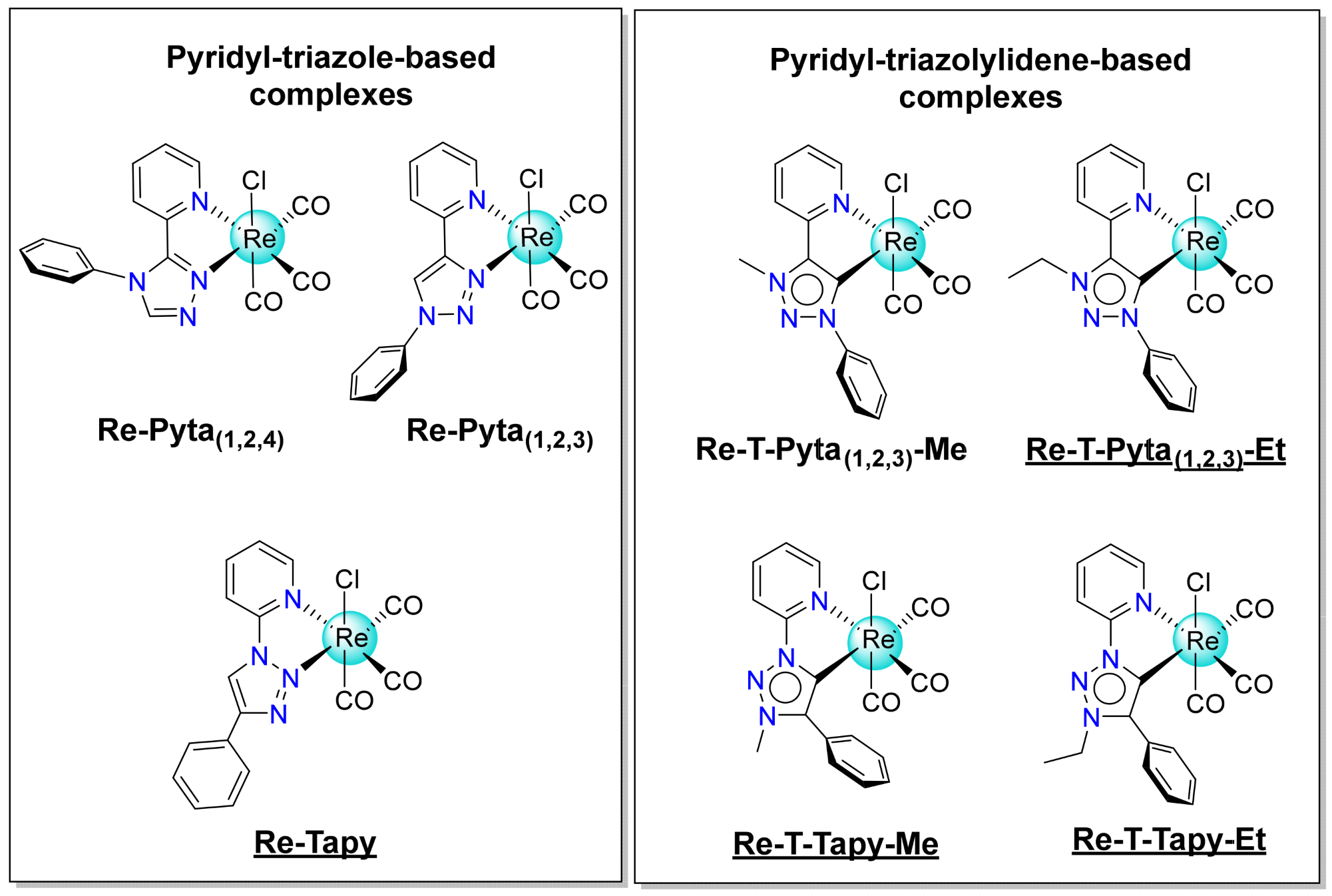 Molecules 30 02776 g001