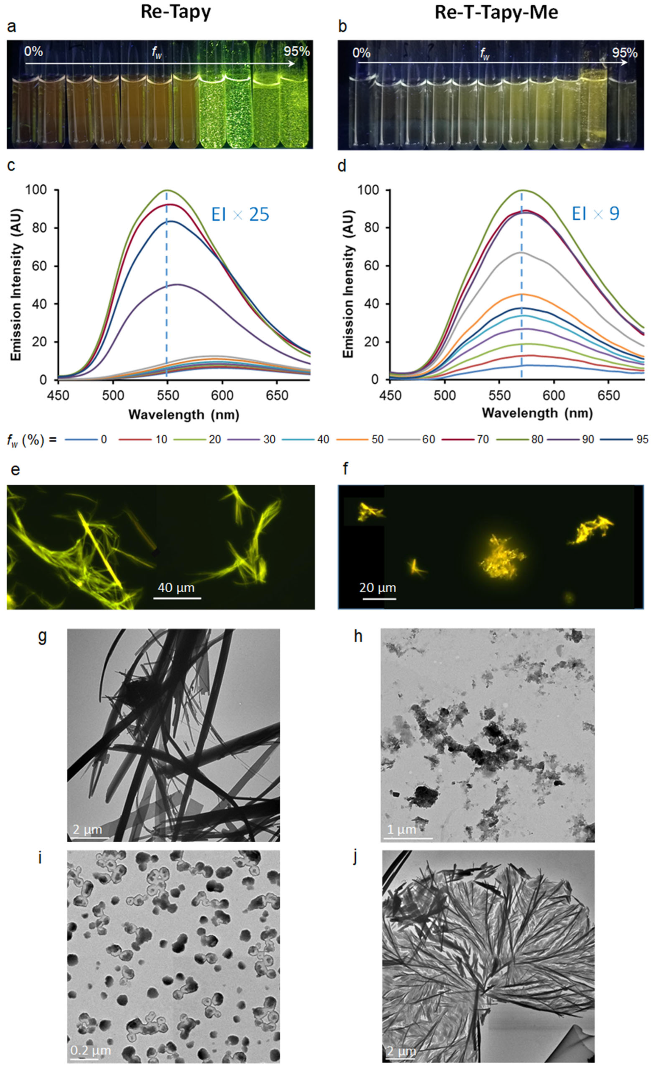 Molecules 30 02776 g007