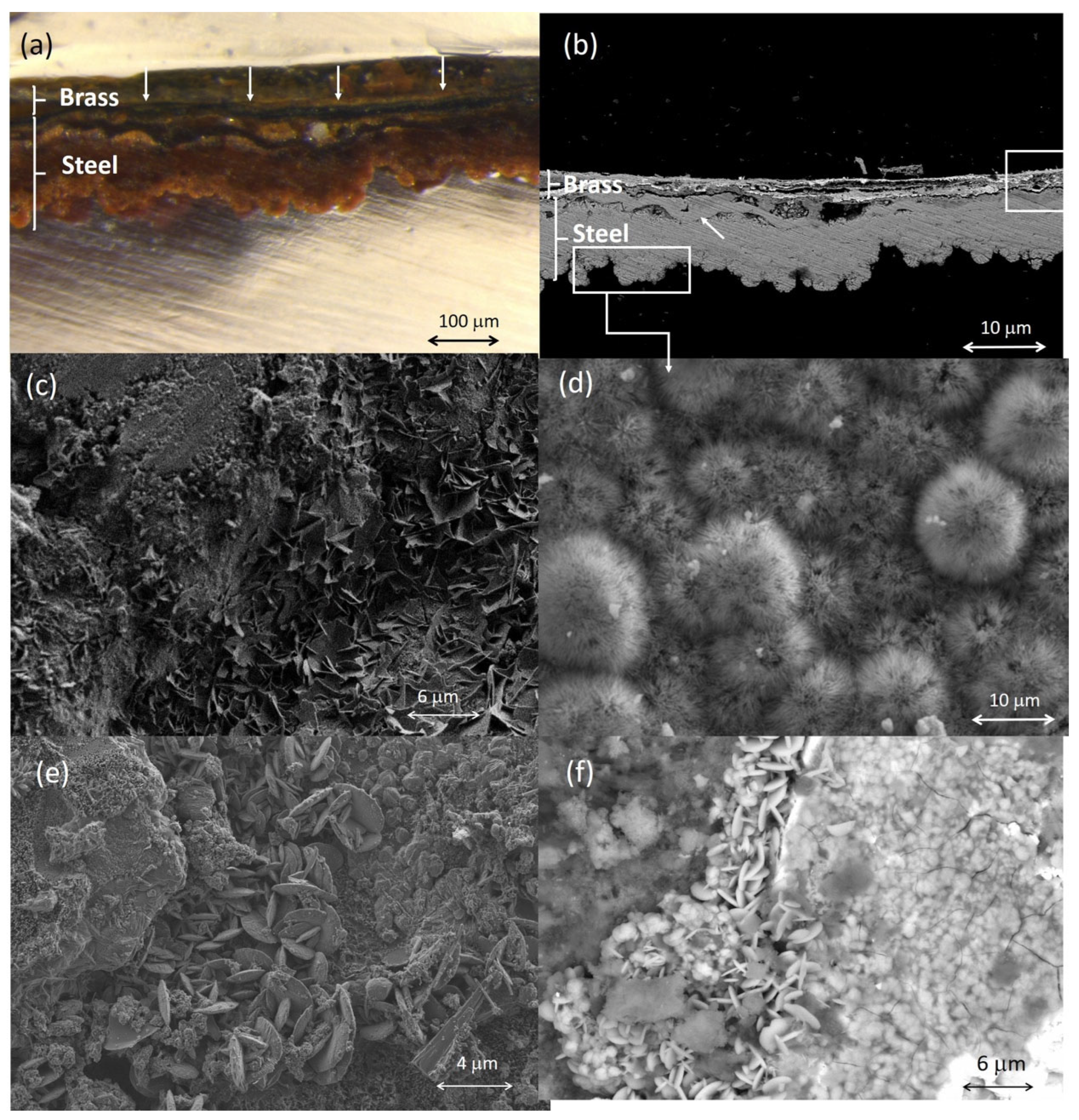 Molecules 30 02783 g015