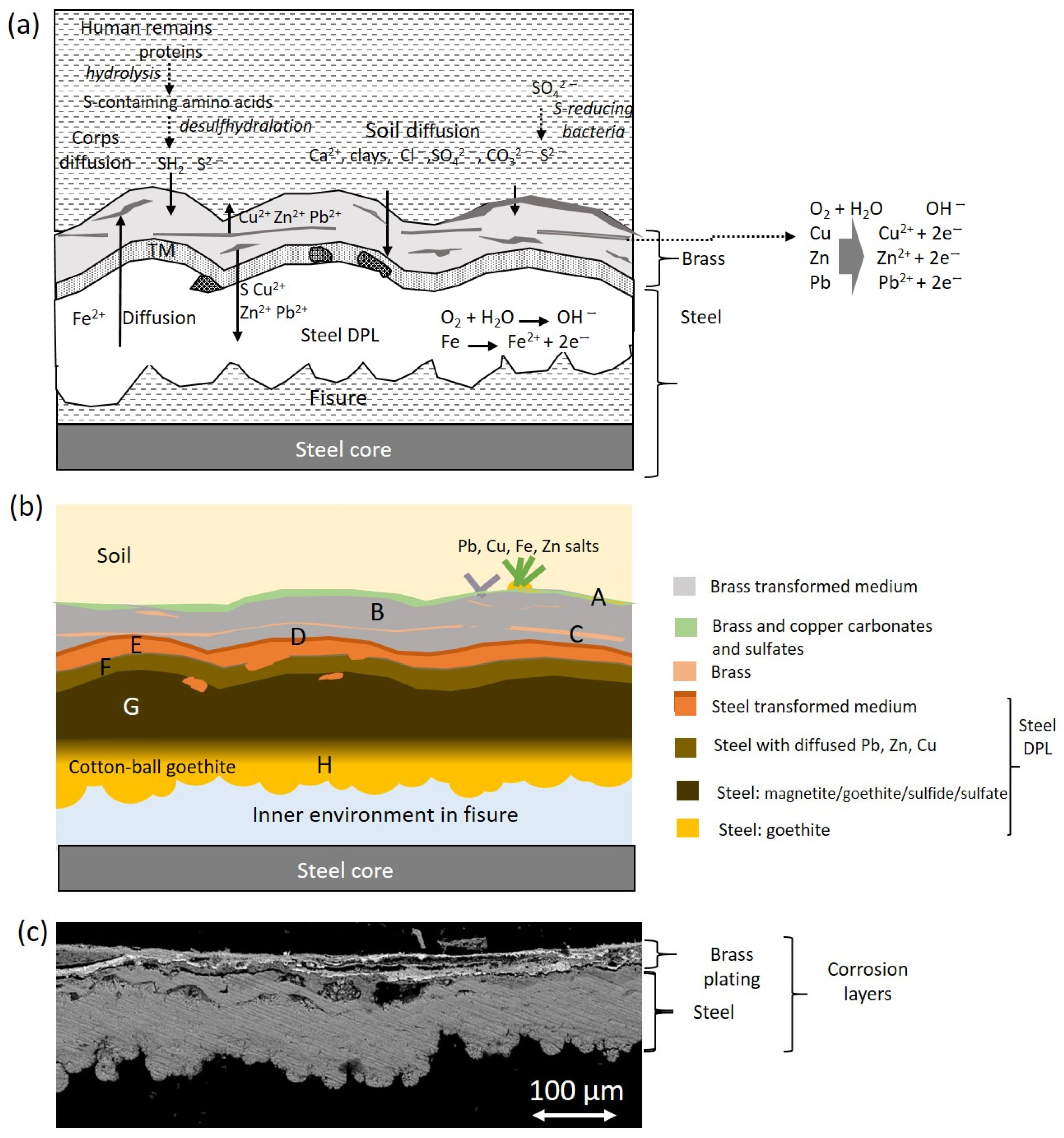 Molecules 30 02783 g023