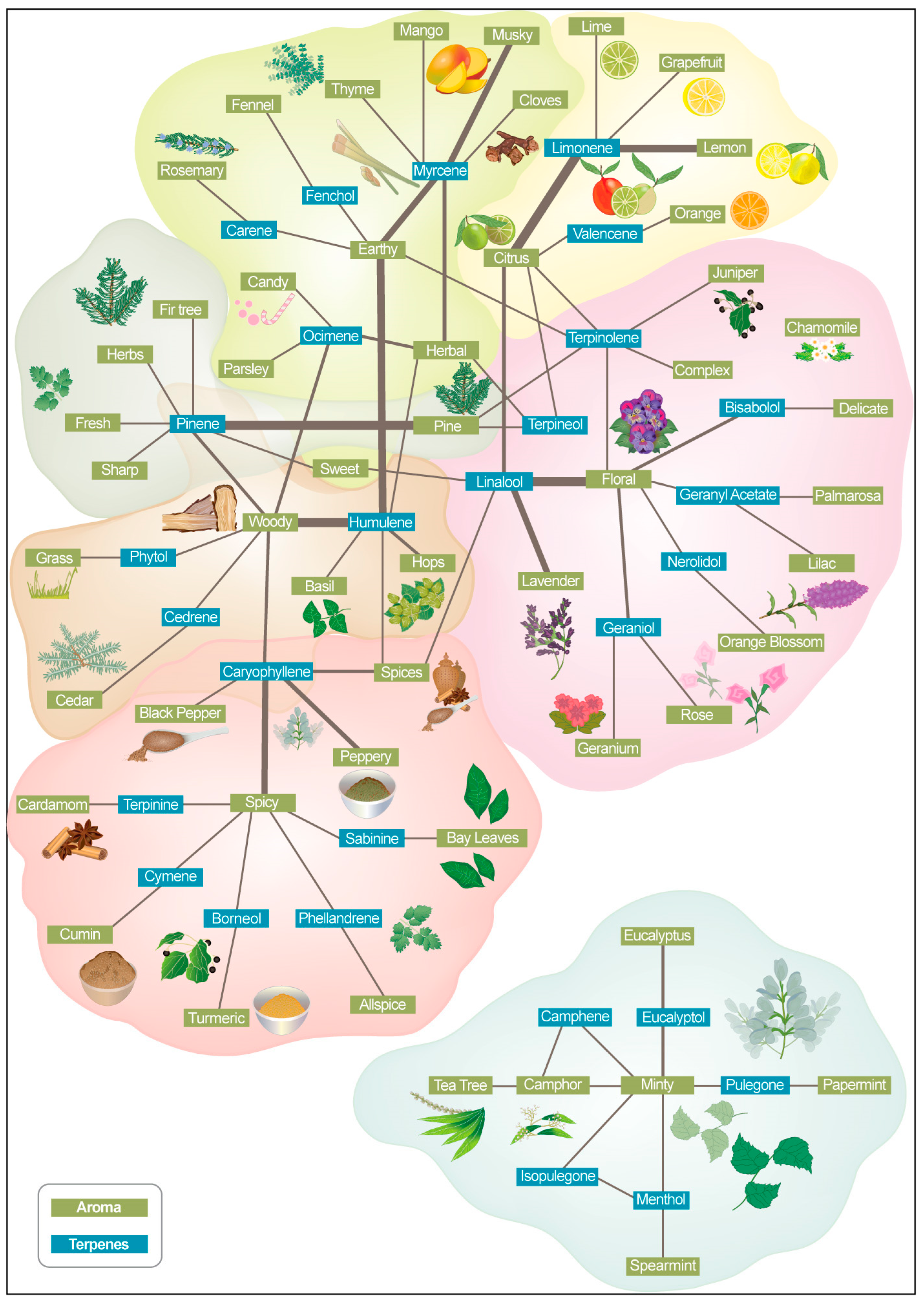 Molecules 30 02784 g002