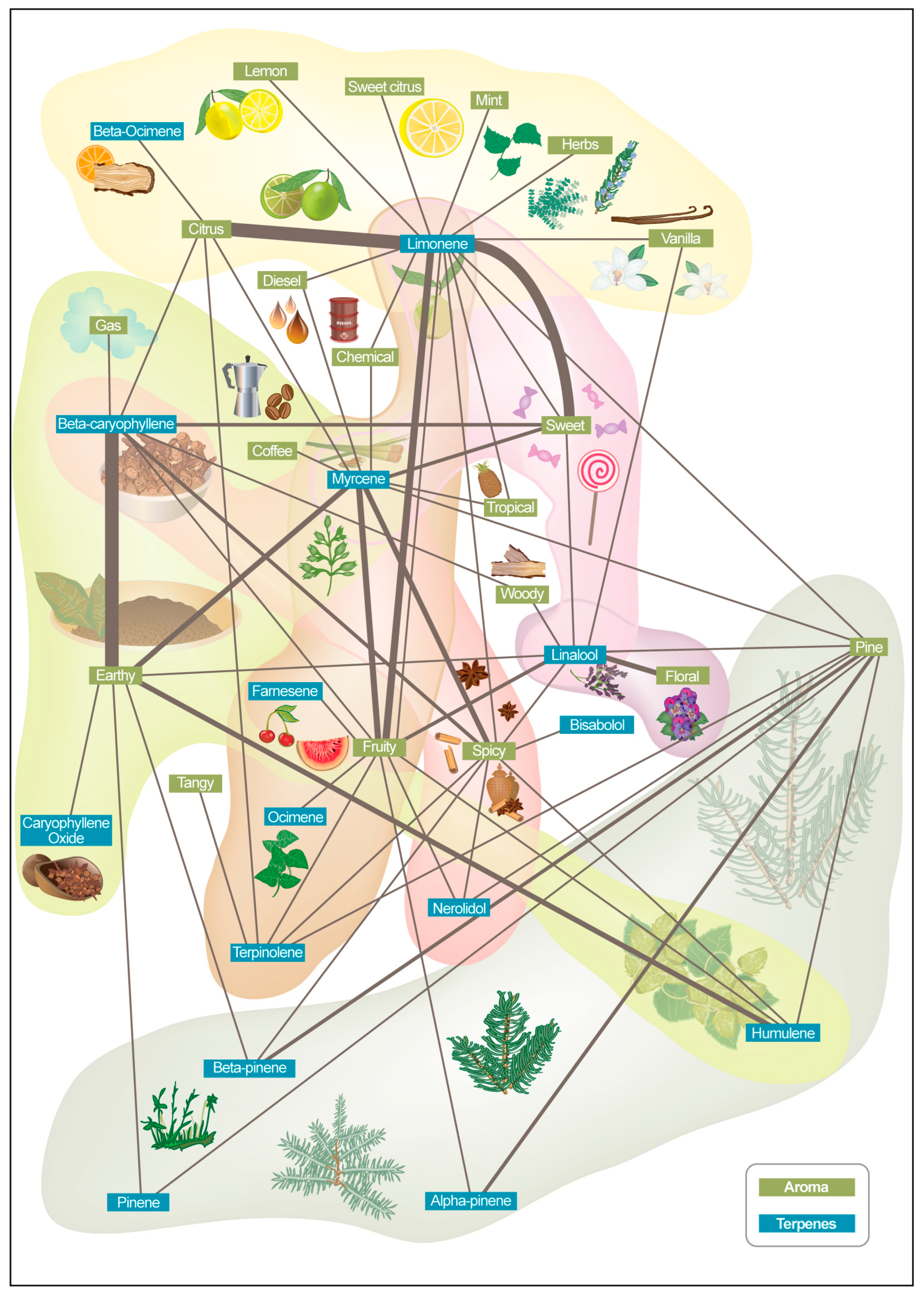 Molecules 30 02784 g003