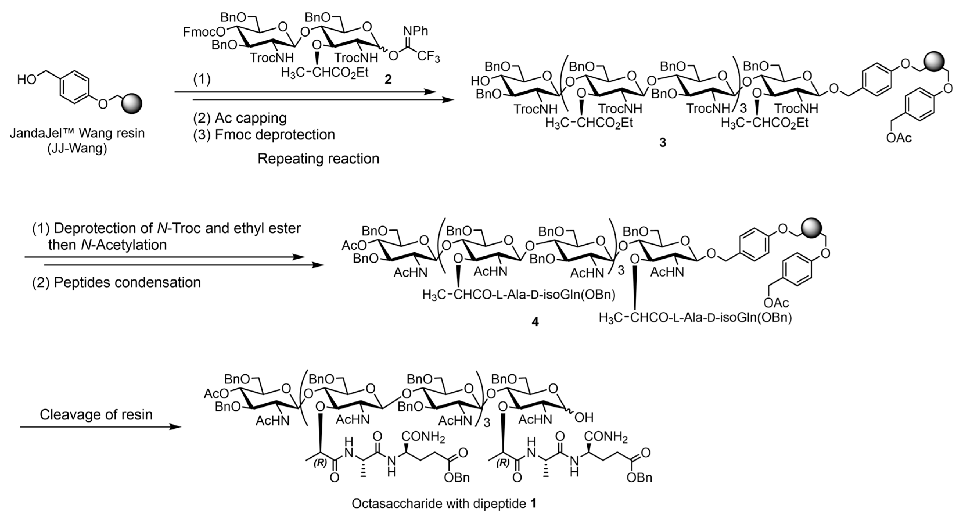 Molecules 30 02787 sch001