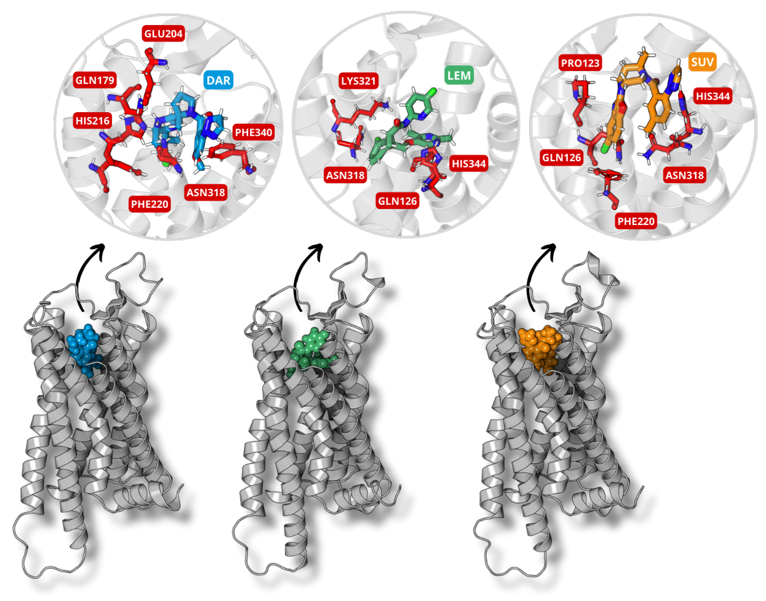 Molecules 30 02790 g002