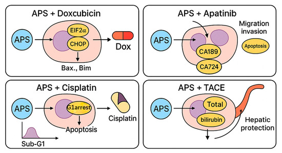 Recent Advances in the Mechanisms and Applications of