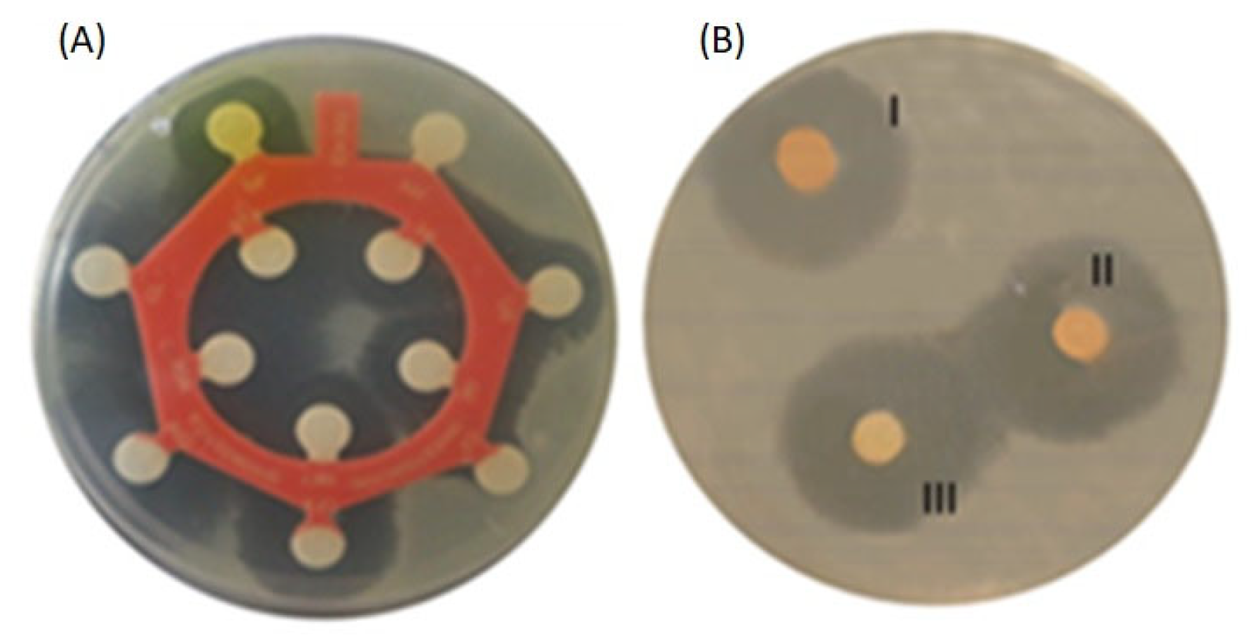 Molecules 30 02799 g001