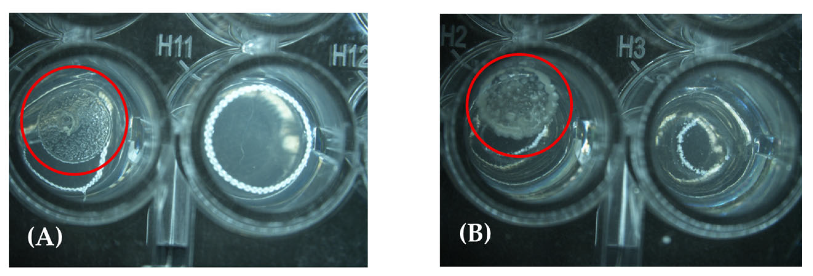 Molecules 30 02799 g003
