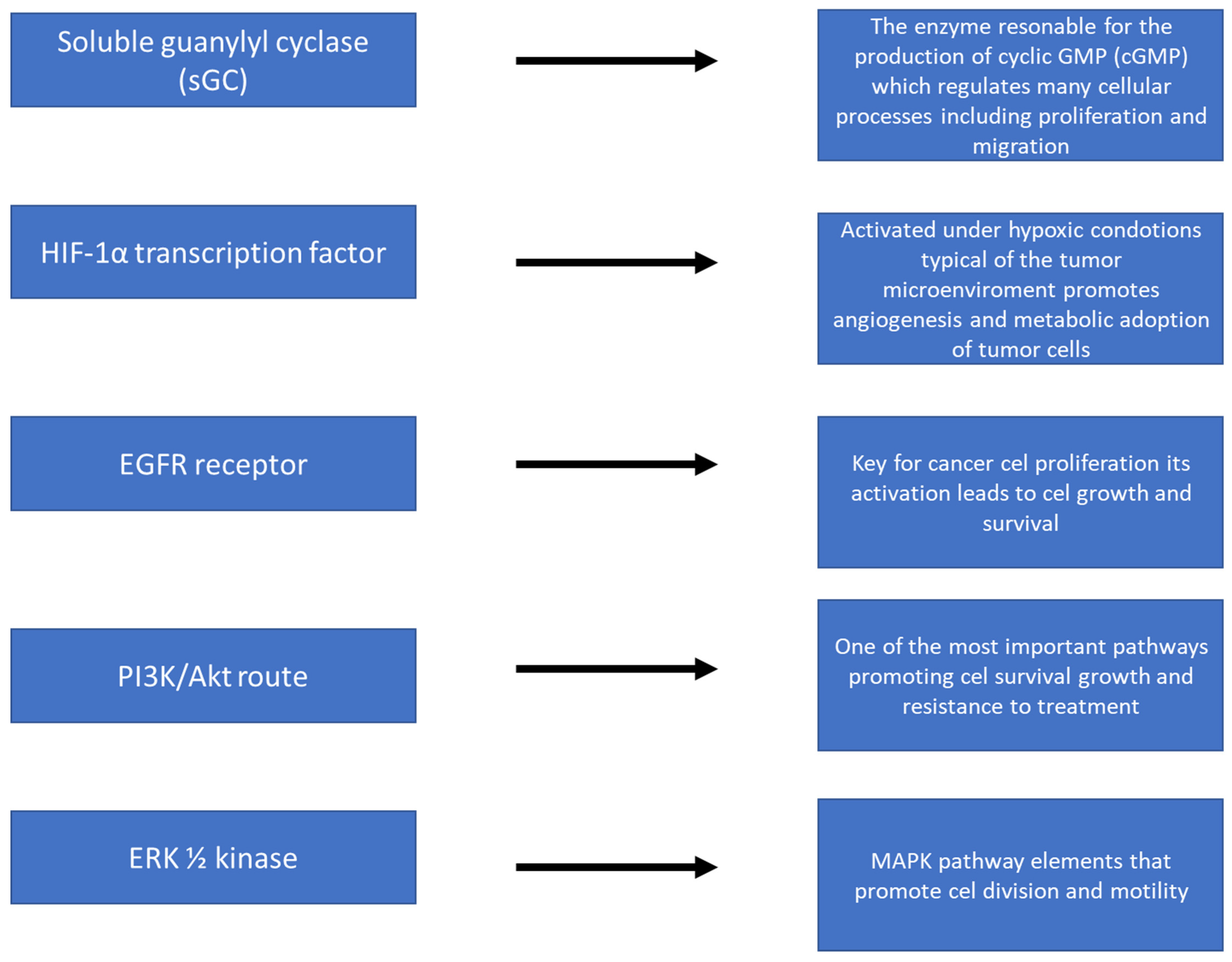 Molecules 30 02802 g003
