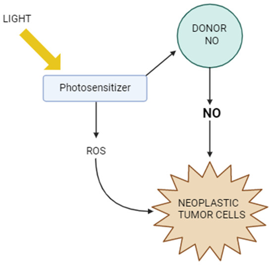 The Role of Nitric Oxide in Cancer Treatment: Ally or Foe?