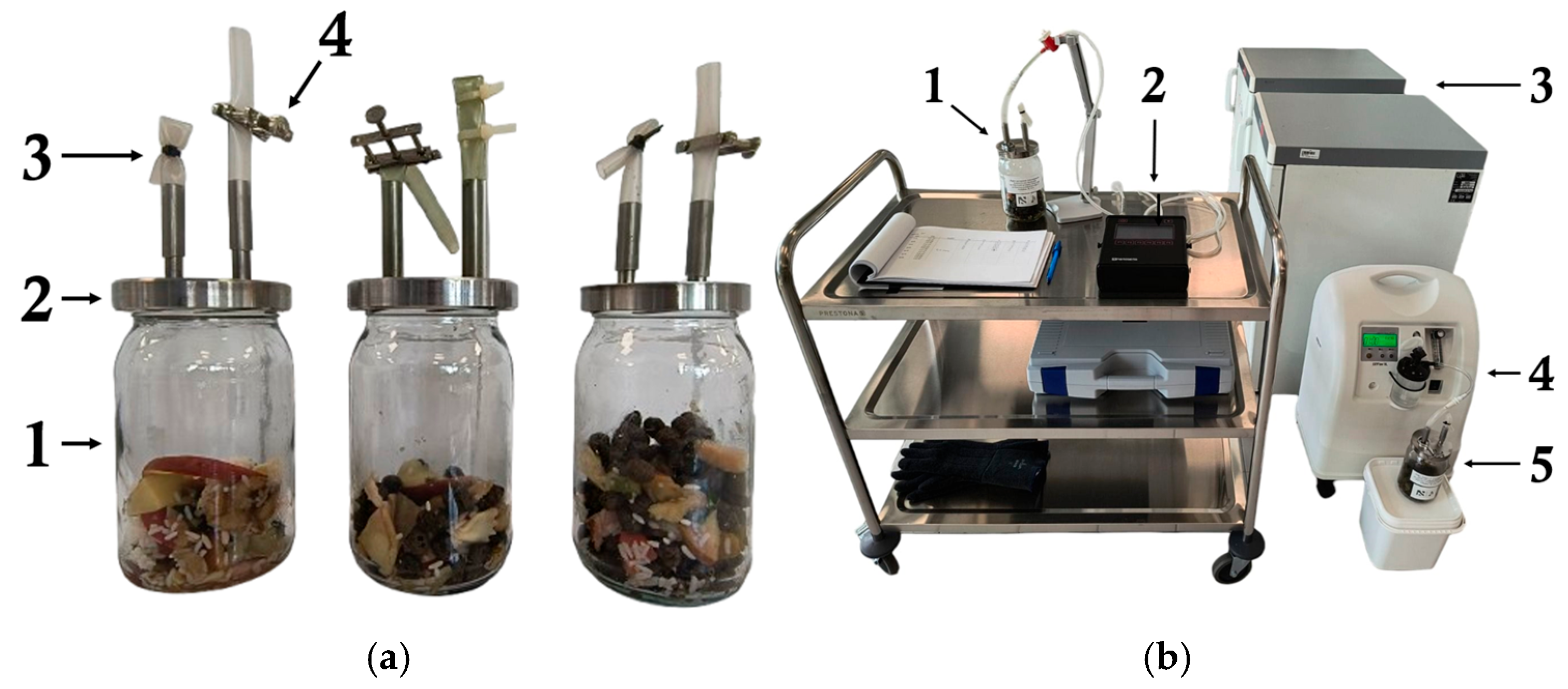 Molecules 30 02807 g006