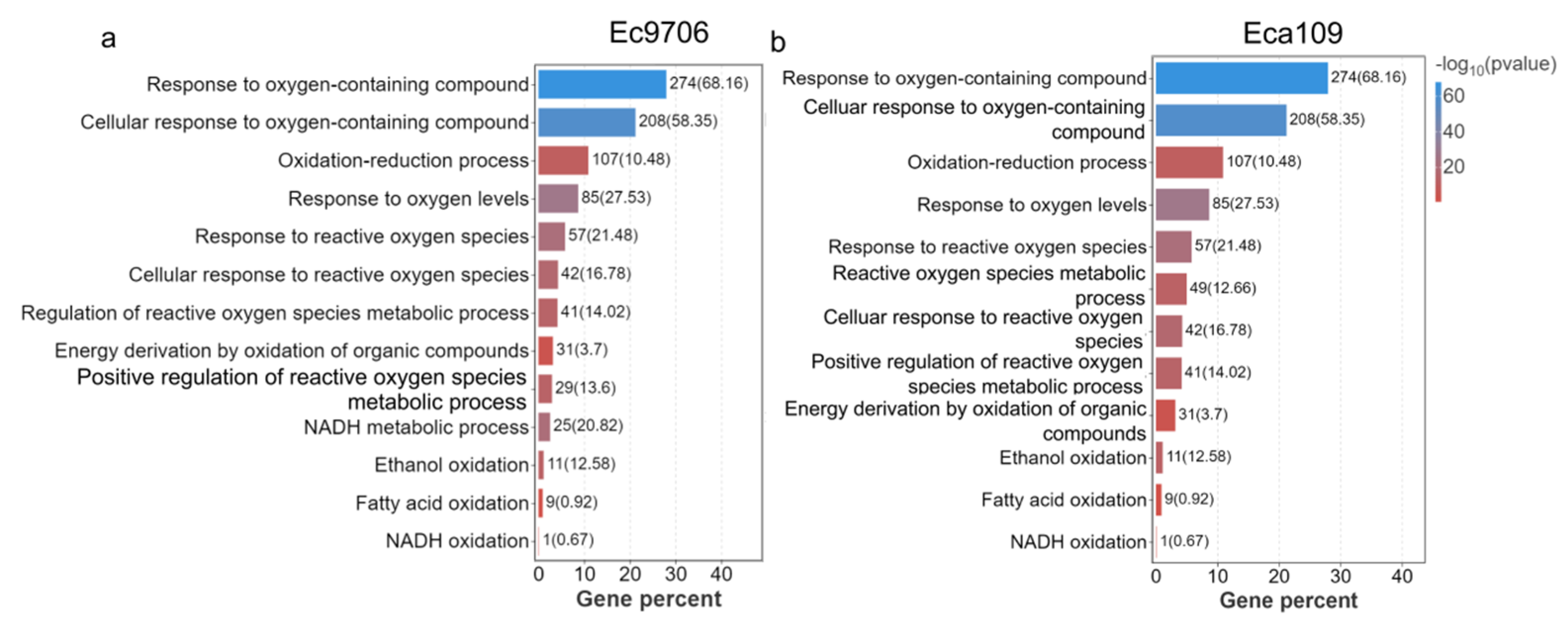 Molecules 30 02808 g006