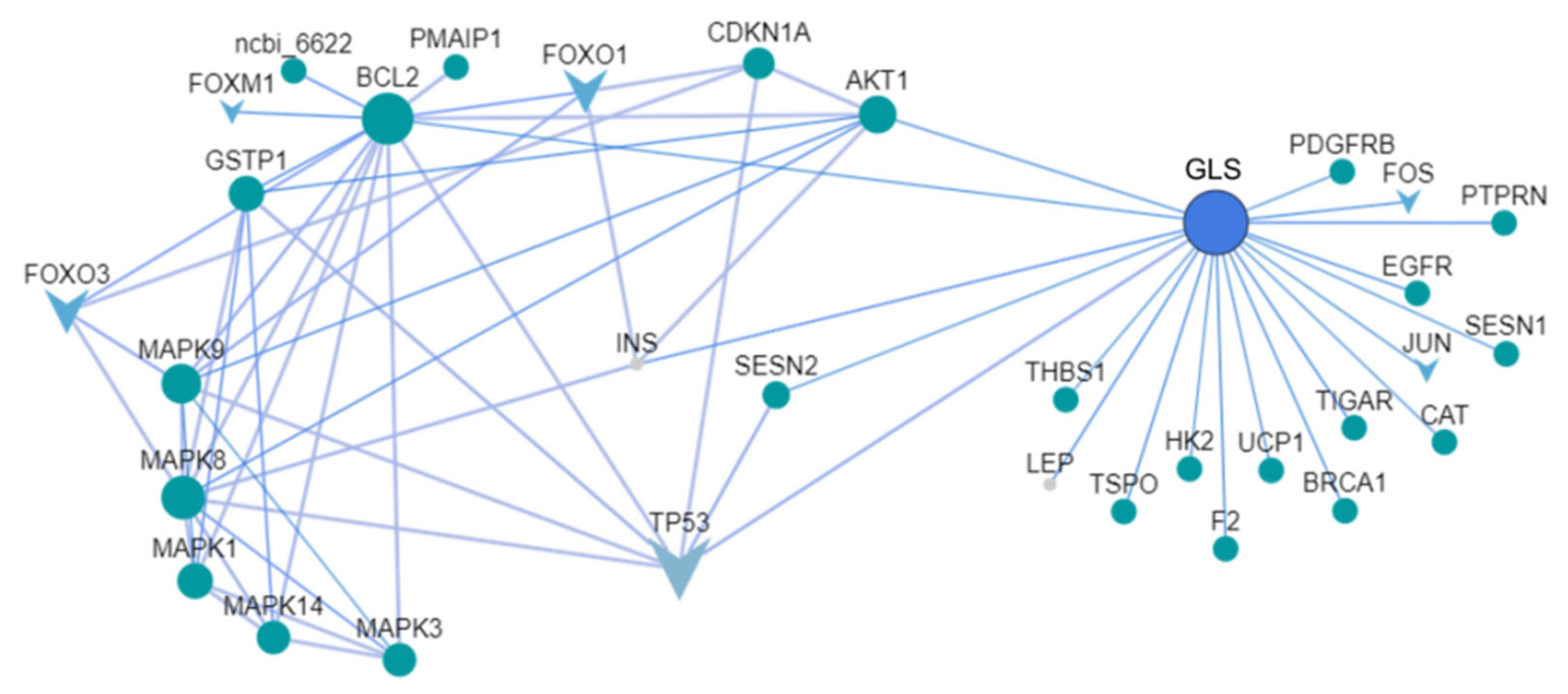 Molecules 30 02808 g007