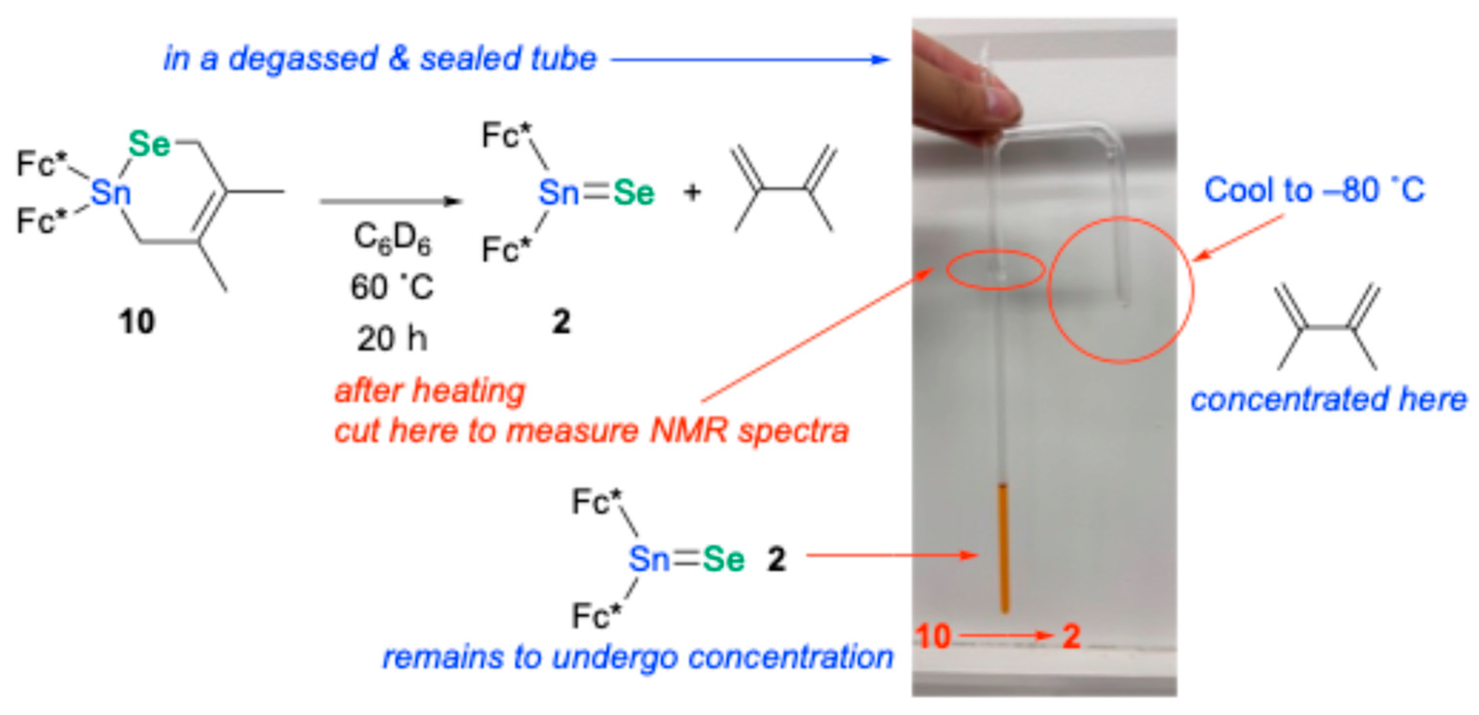 Molecules 30 02826 g005