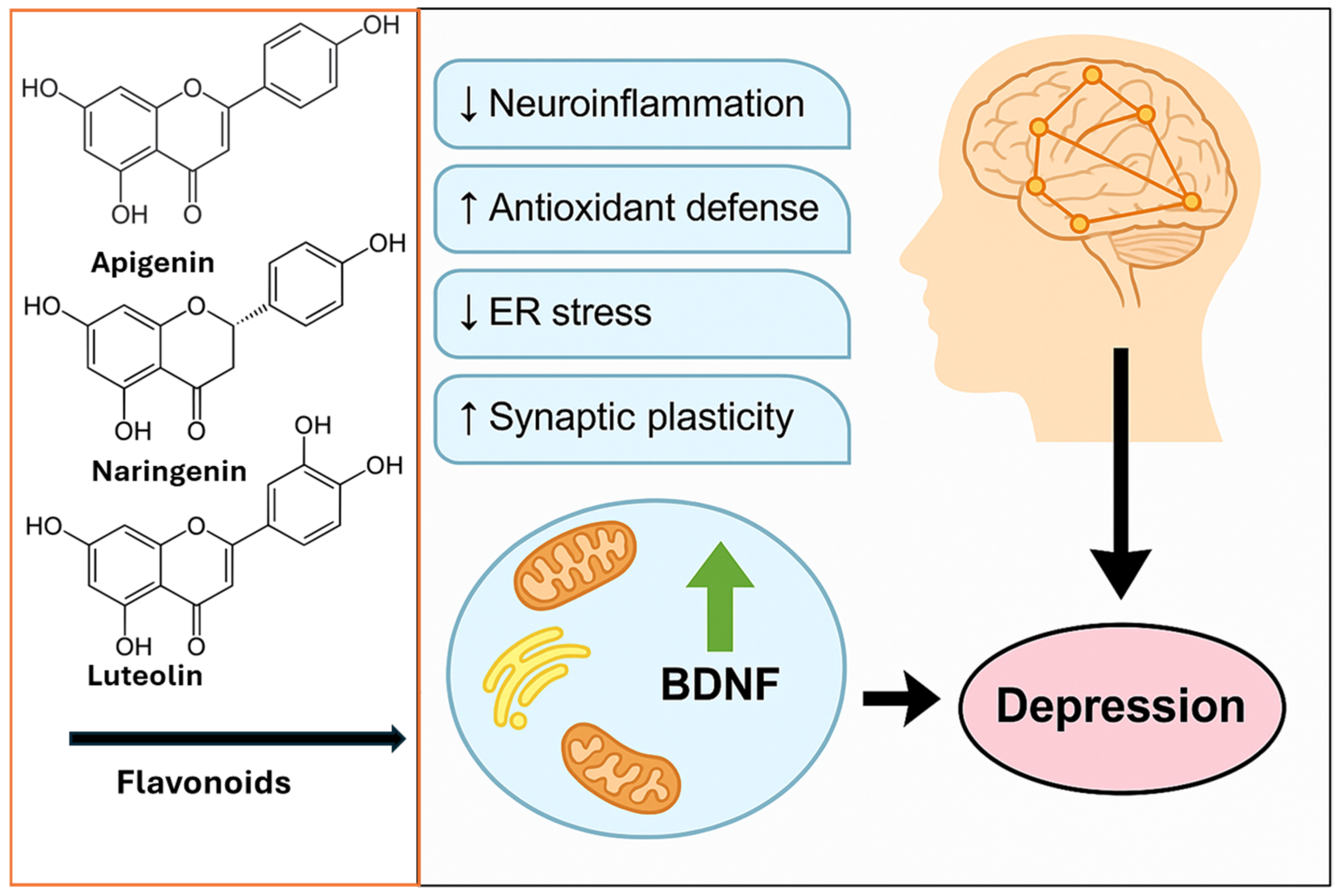 Phytotherapy and the Role of Bioactive Compounds in Modulating ...