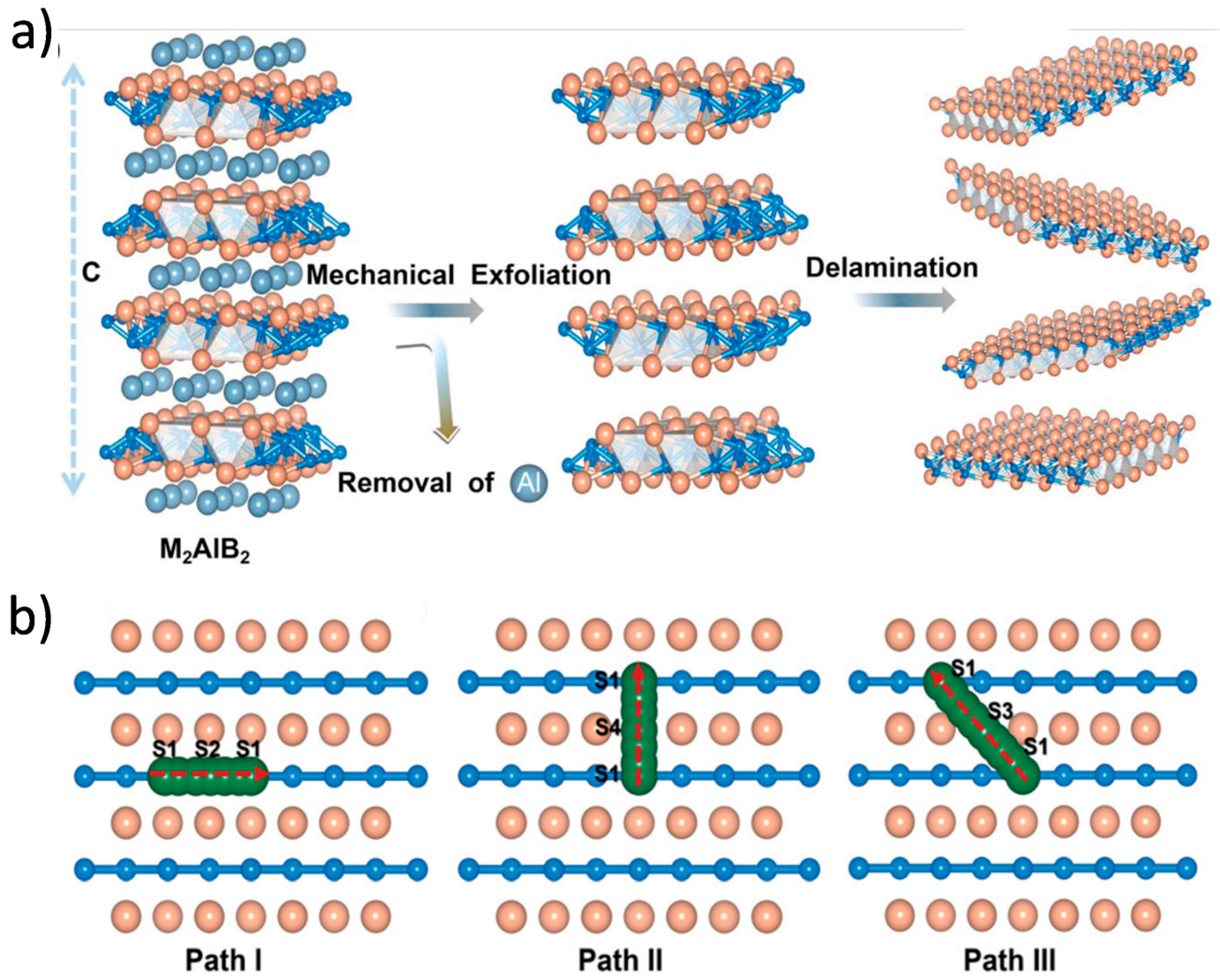 Molecules 30 02831 g010