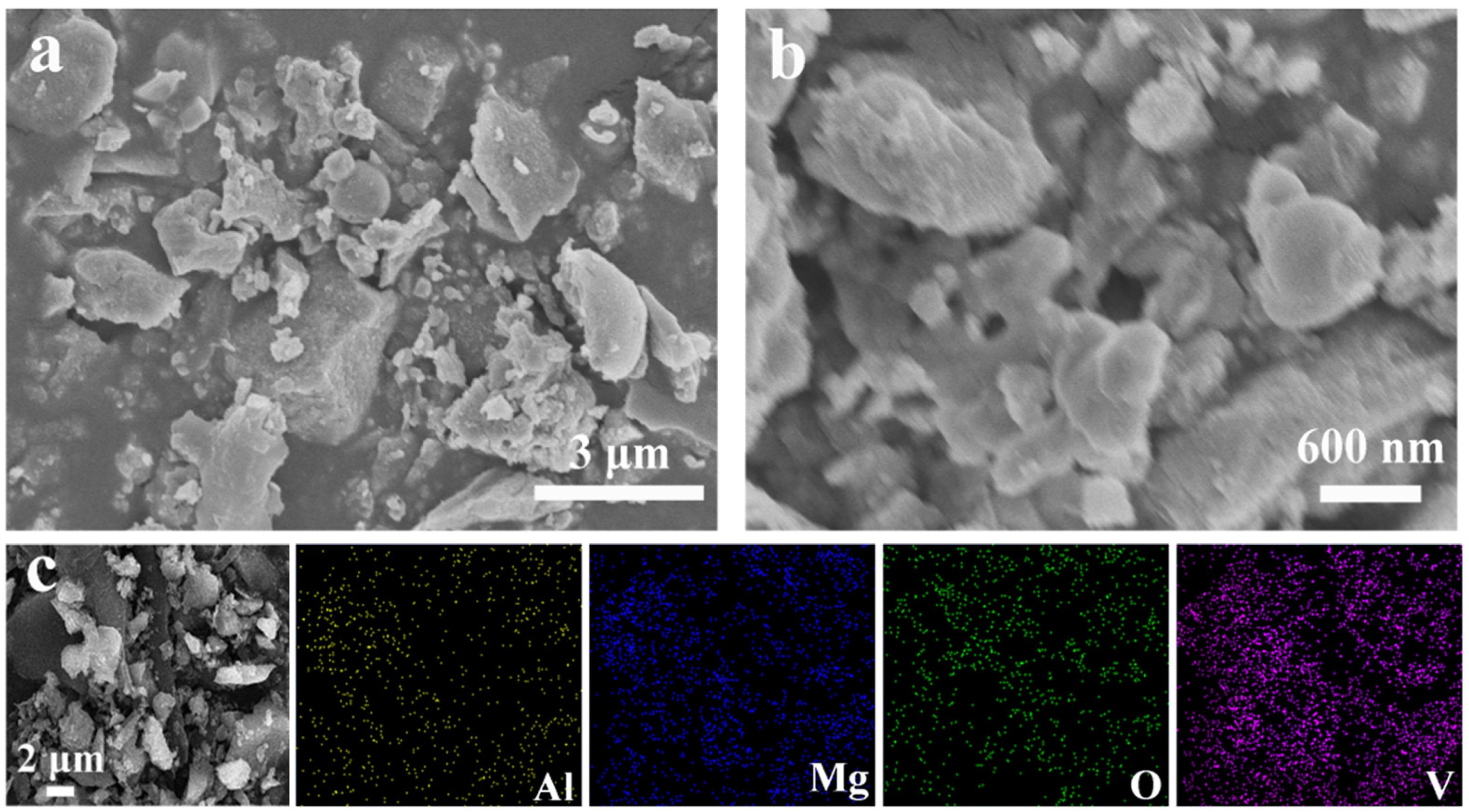 Molecules 30 02833 g004