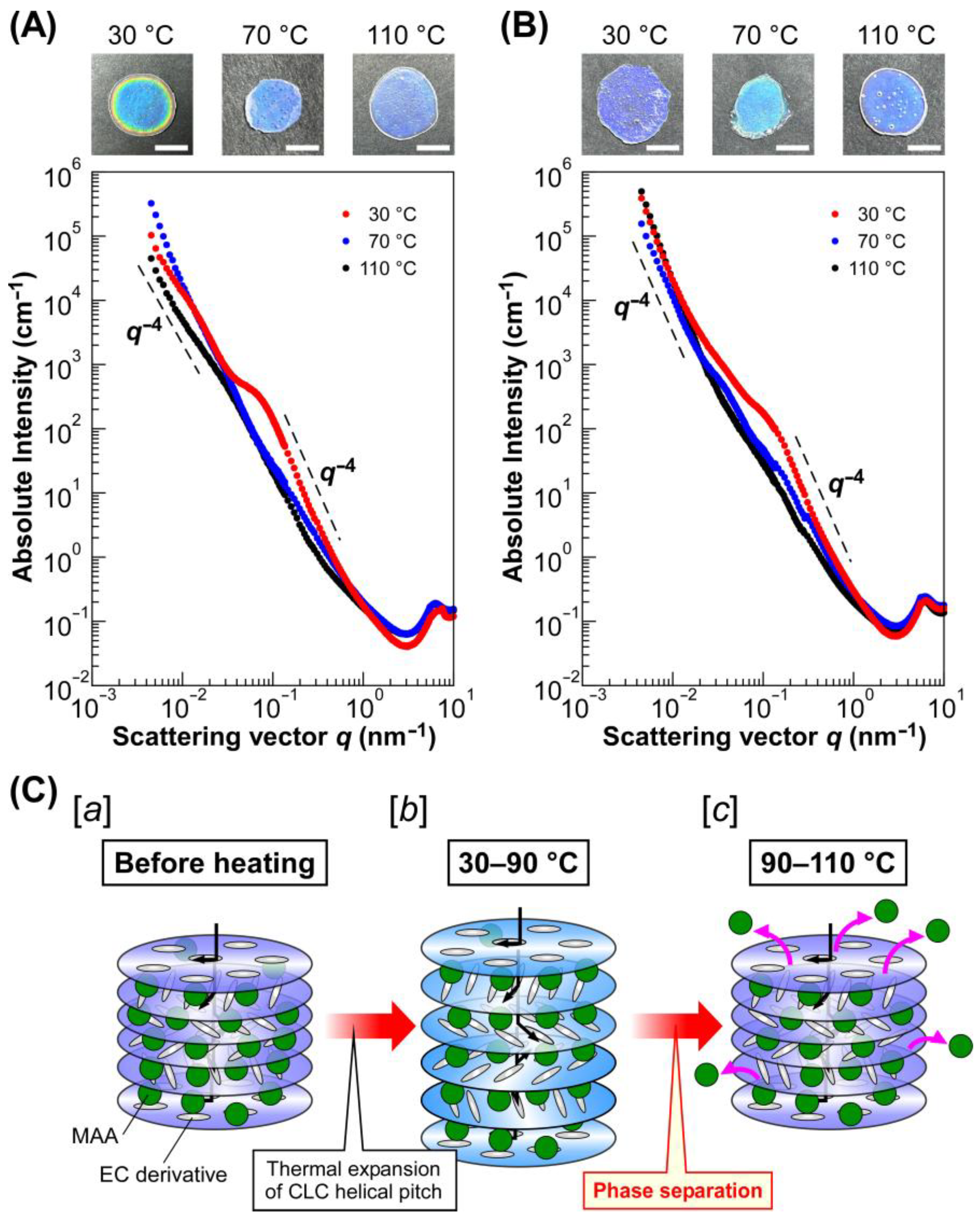 Molecules 30 02839 g005