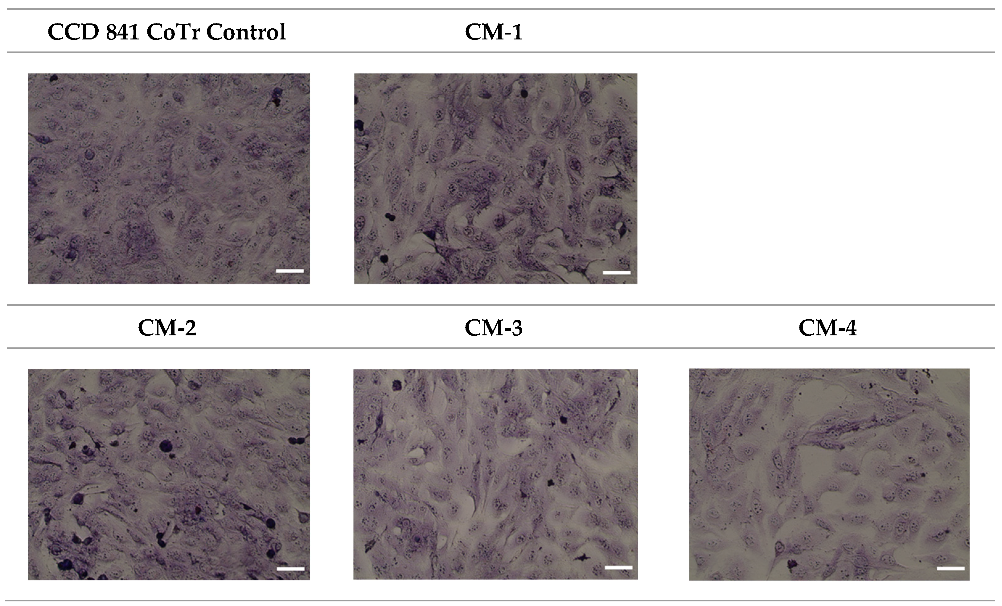 Molecules 30 02846 g011b