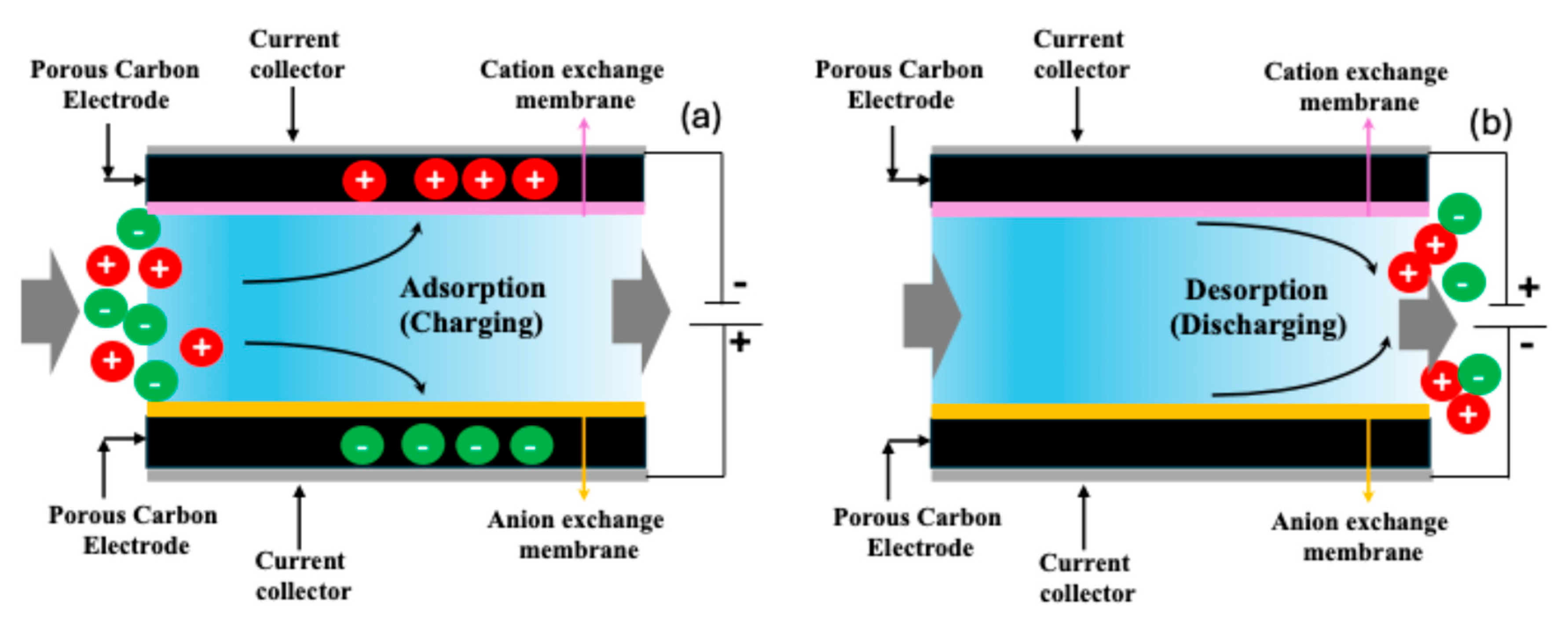 Molecules 30 02848 g001