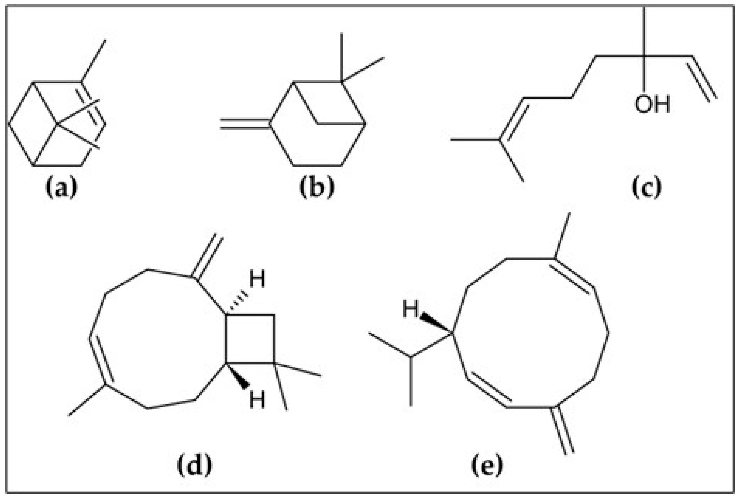 Molecules 30 02849 g001