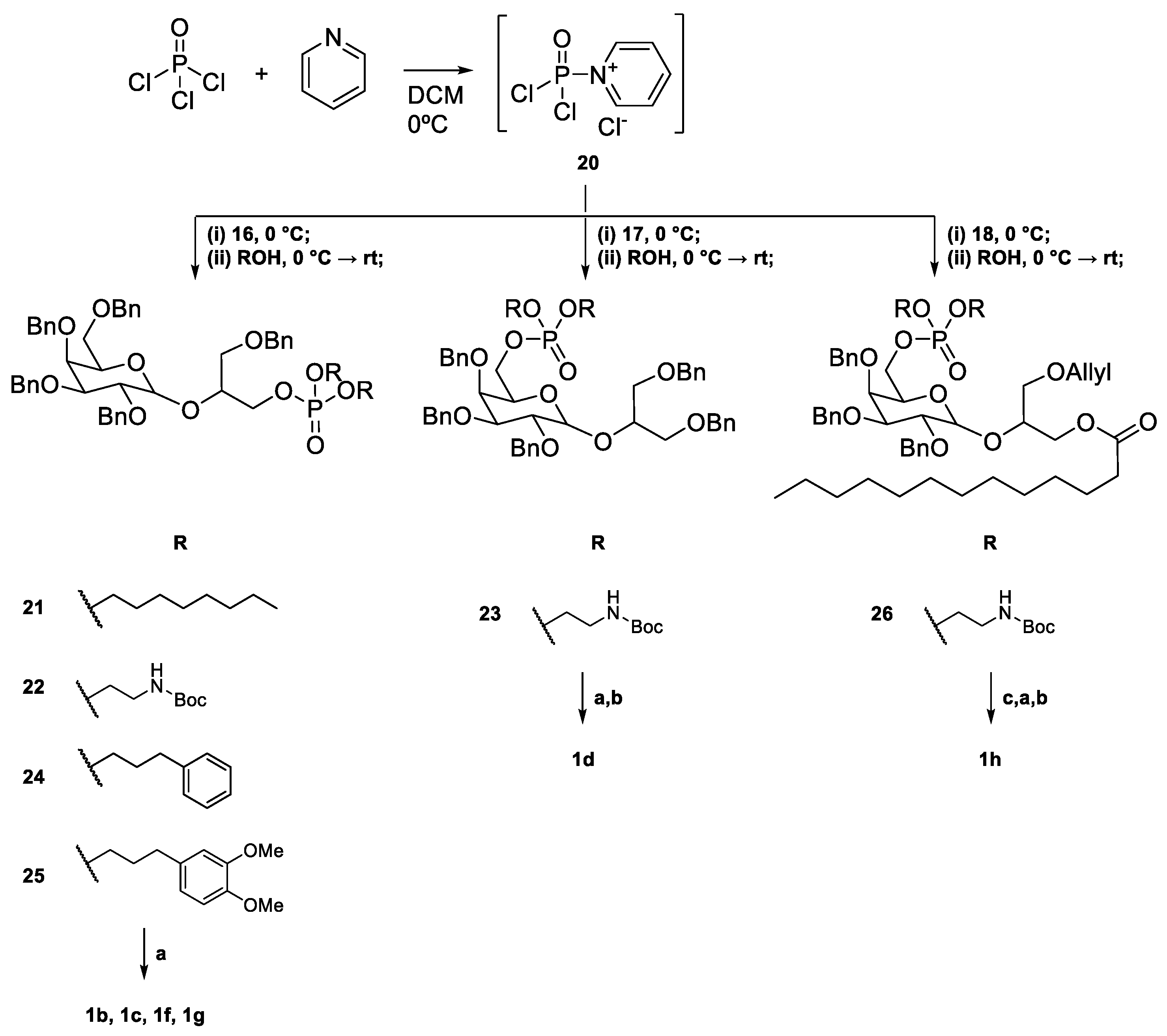 Molecules 30 02850 sch004
