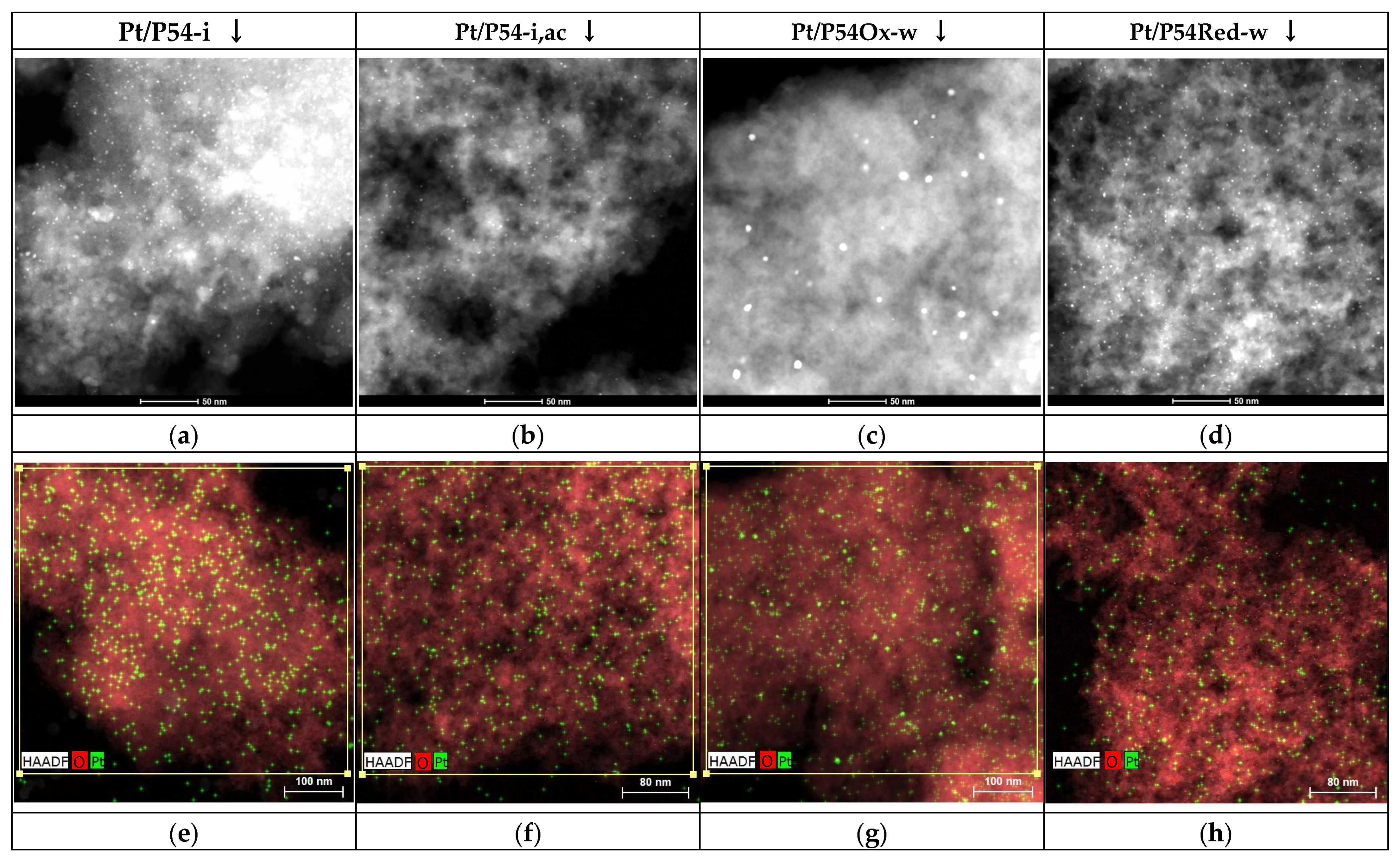 Molecules 30 02862 g005a