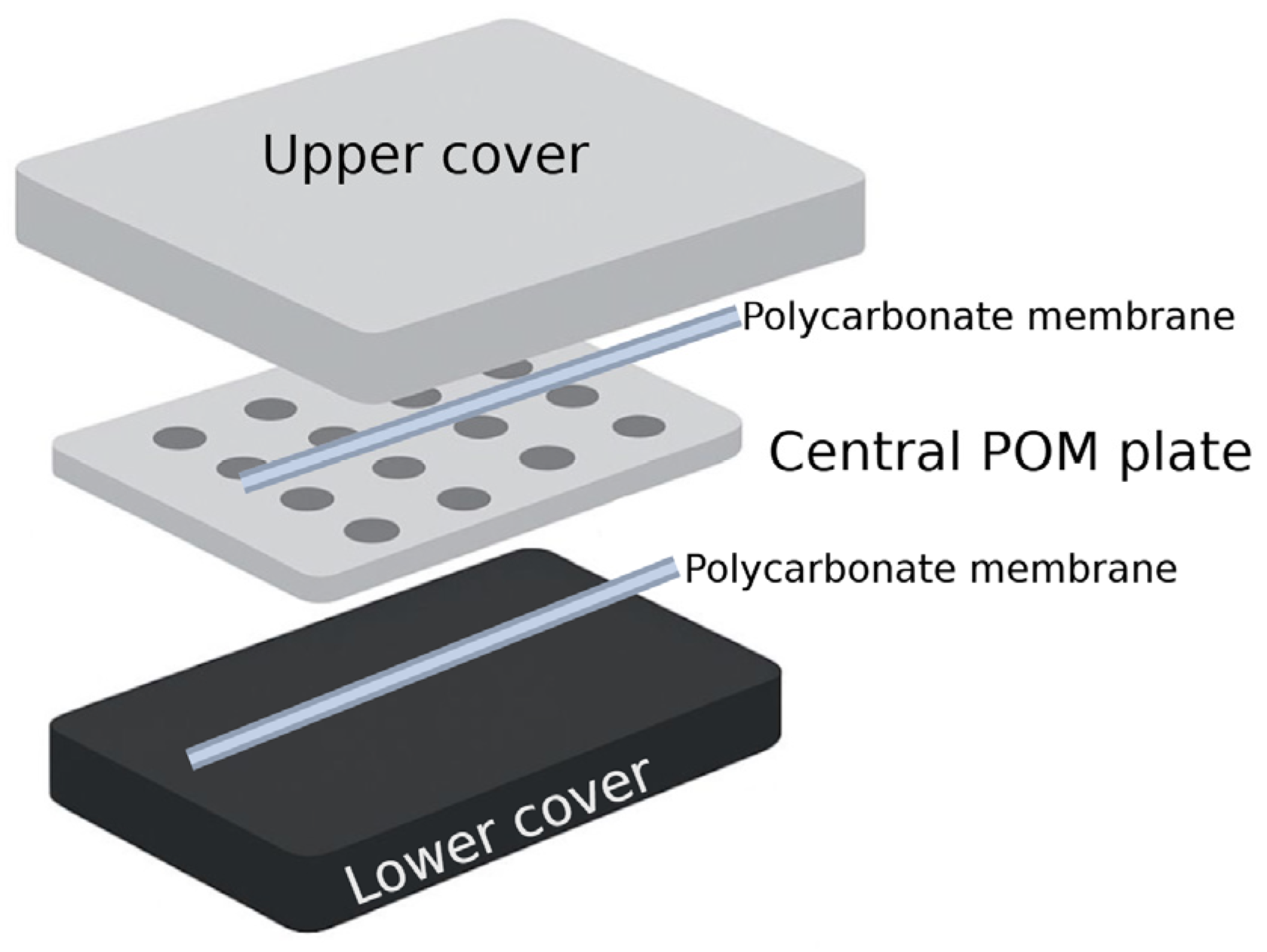 Molecules 30 02868 g003