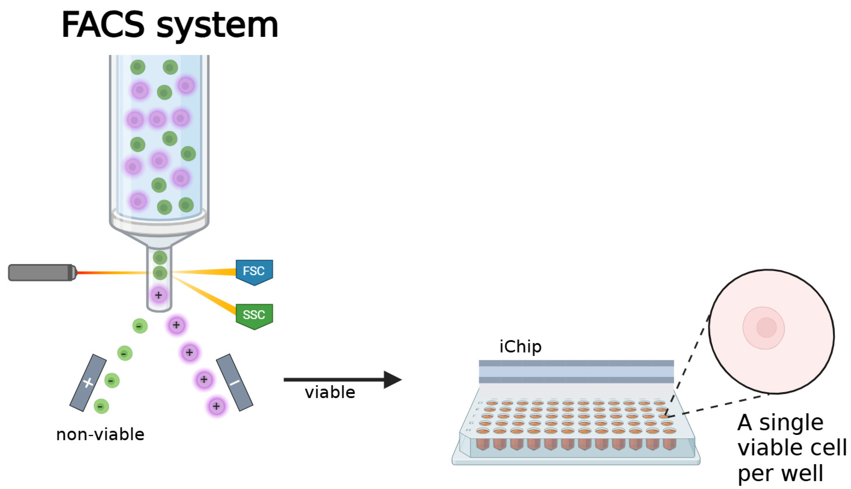 Molecules 30 02868 g005